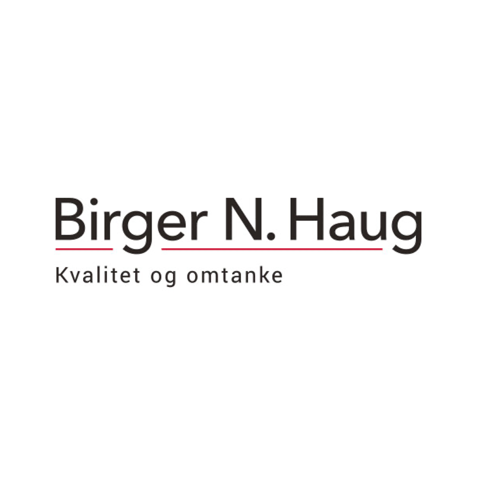 Birger N Haug logo.png