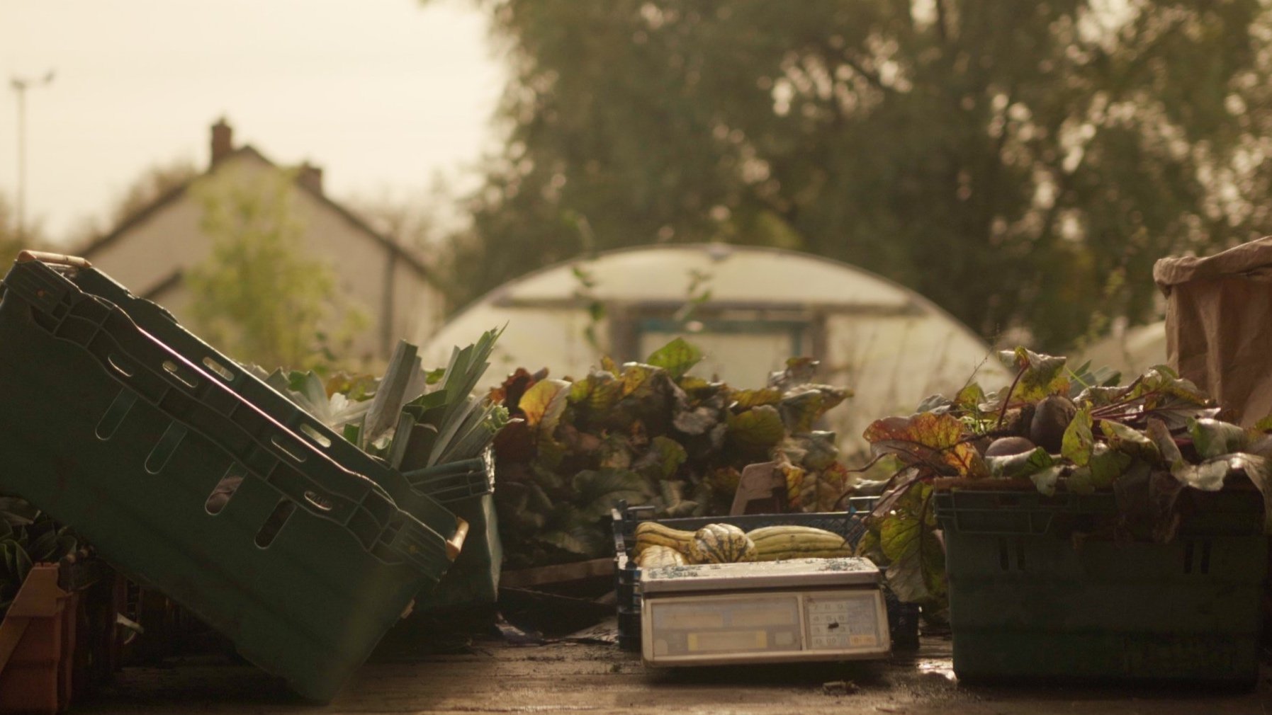 Organic Farm Reel
