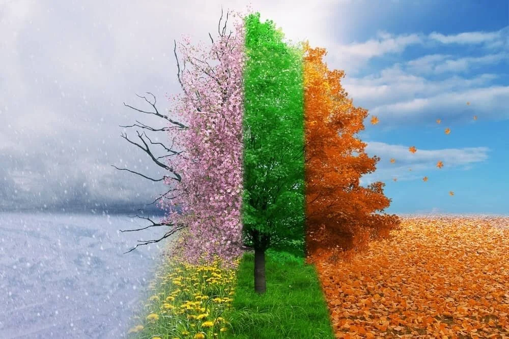 The Science of Seasons