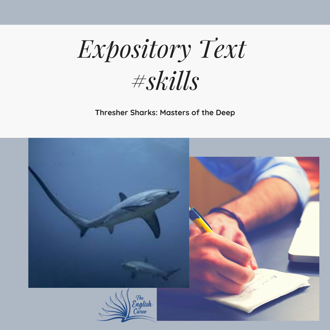 Expository Text #skills