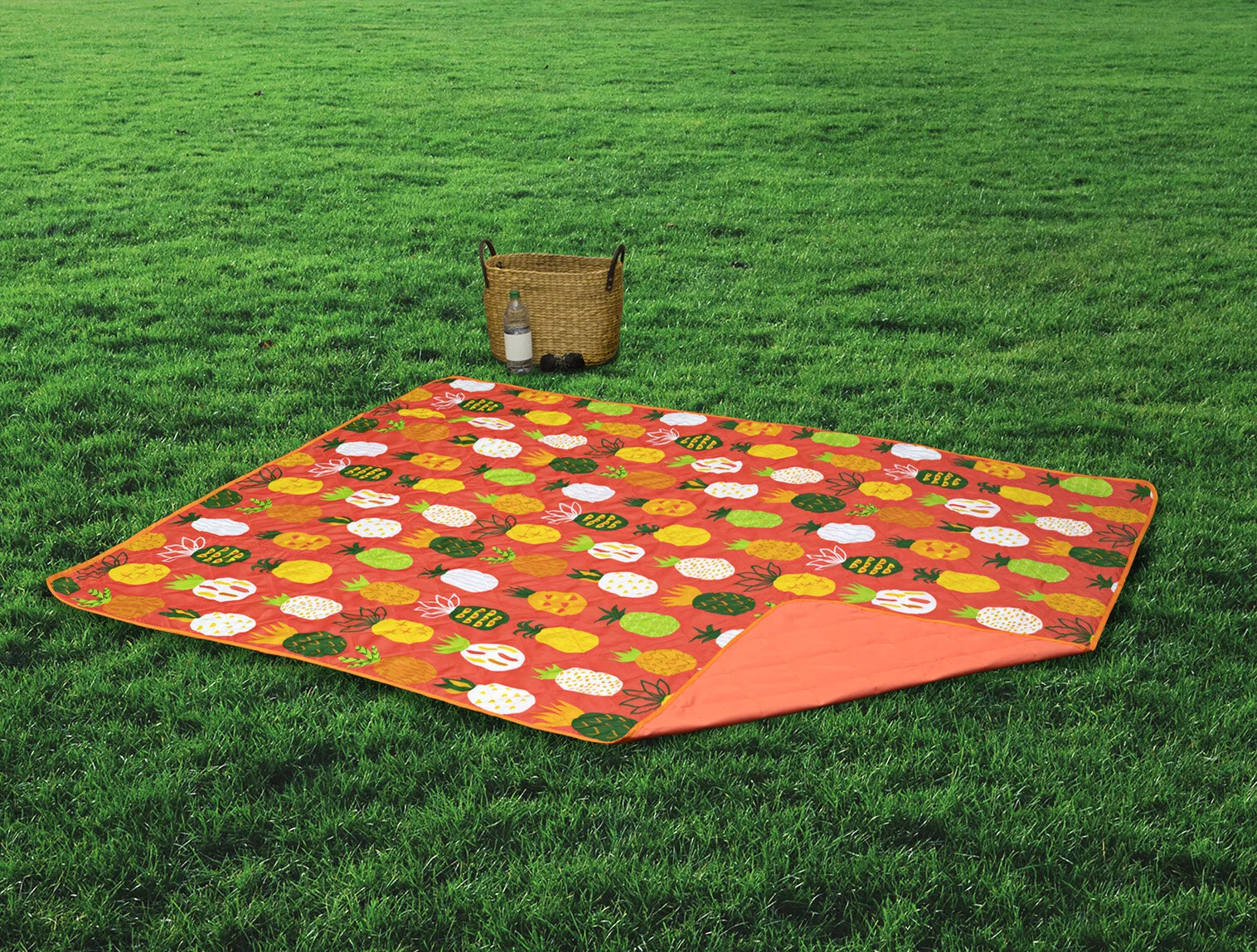 Travel Blanket