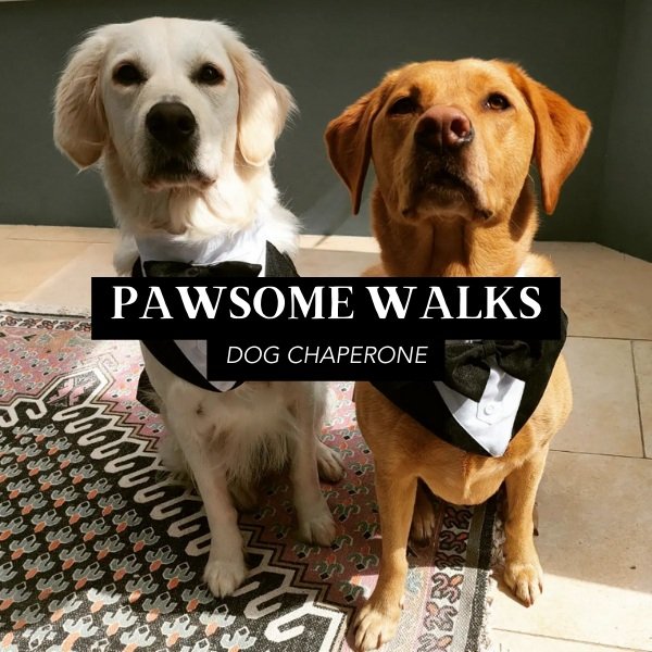 Pawsome Walks