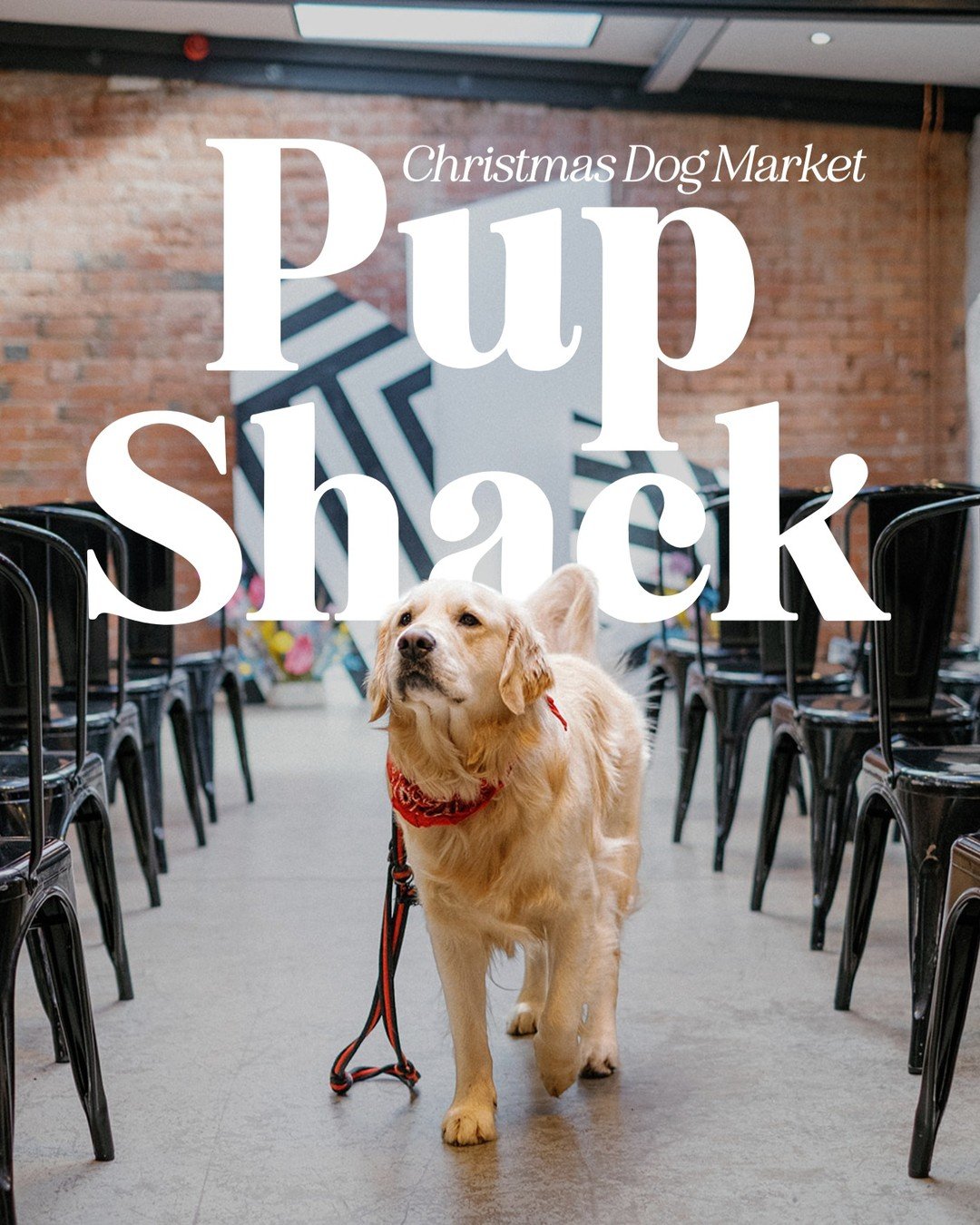 Christmas Dog Market at The Shack Revolution in Hereford 🖤 Wednesday 18th December, 5pm - 9pm

WHAT TO EXPECT 🐾

An incredible line-up of doggy obsessed small businesses; 

TREATS
@acek9doggydeli
@satchssnacks_naturaldogtreats
@pooch_hooch_bone_bro