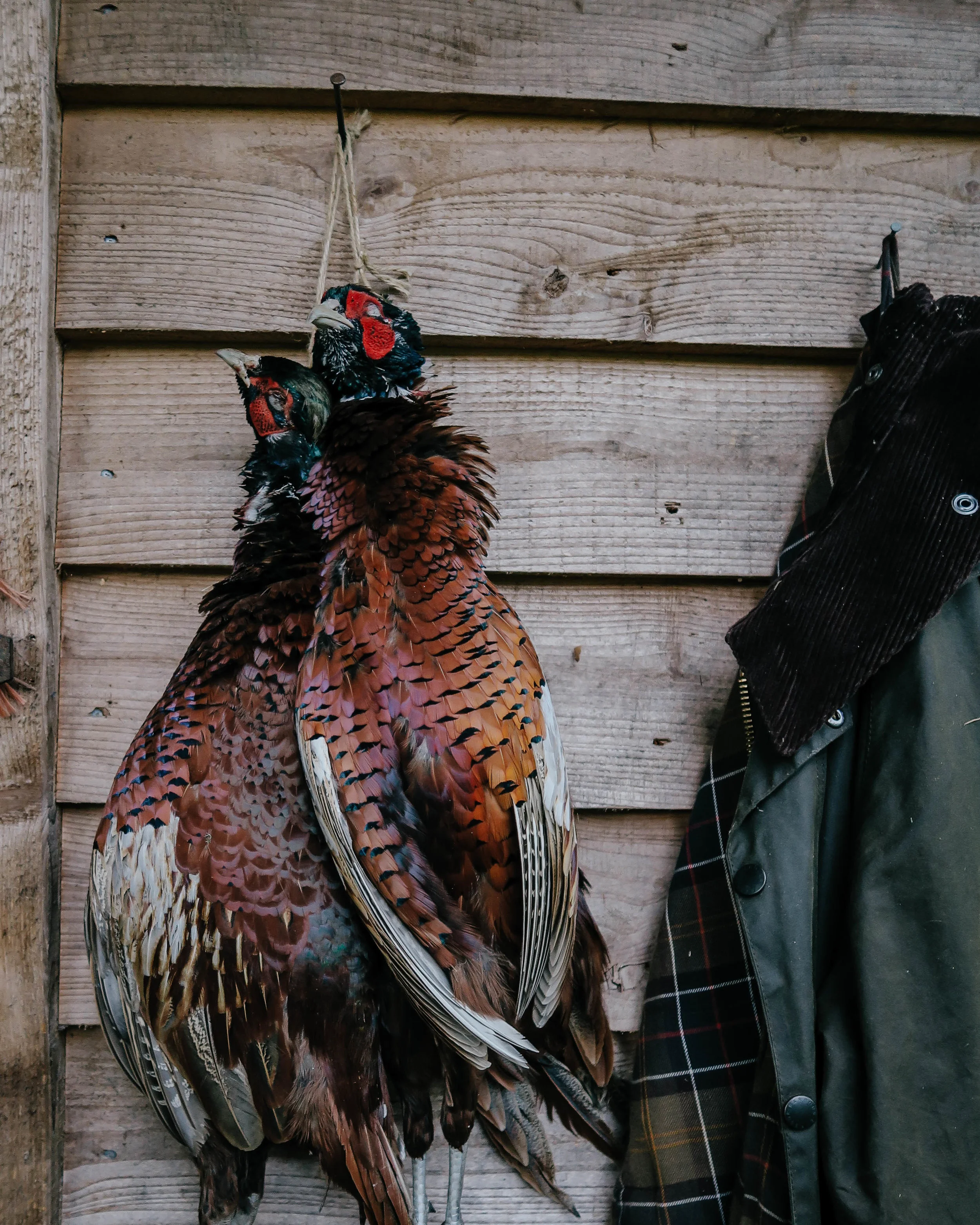 pheasants and barbour.jpg