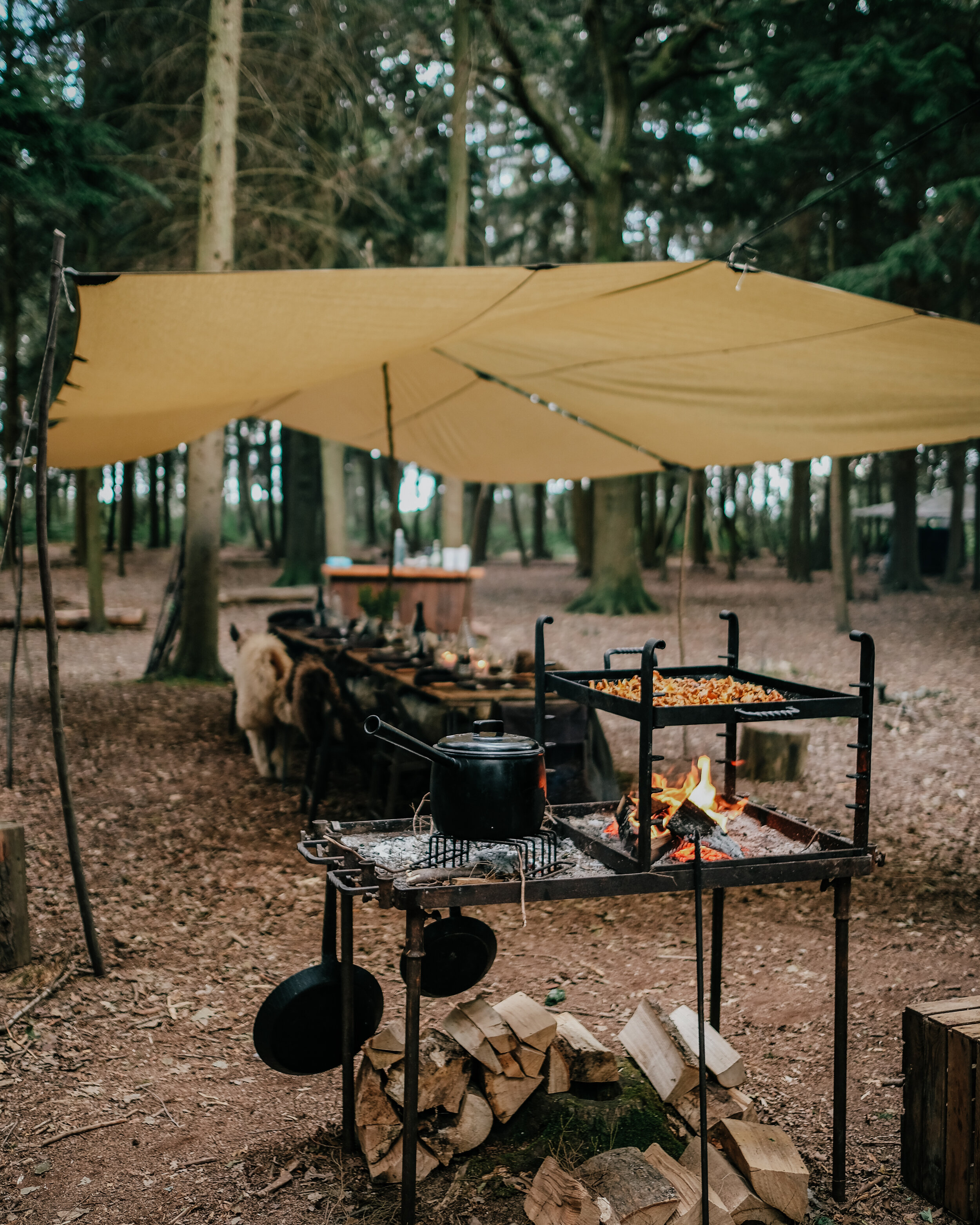 Cooking with Fire 15.jpg