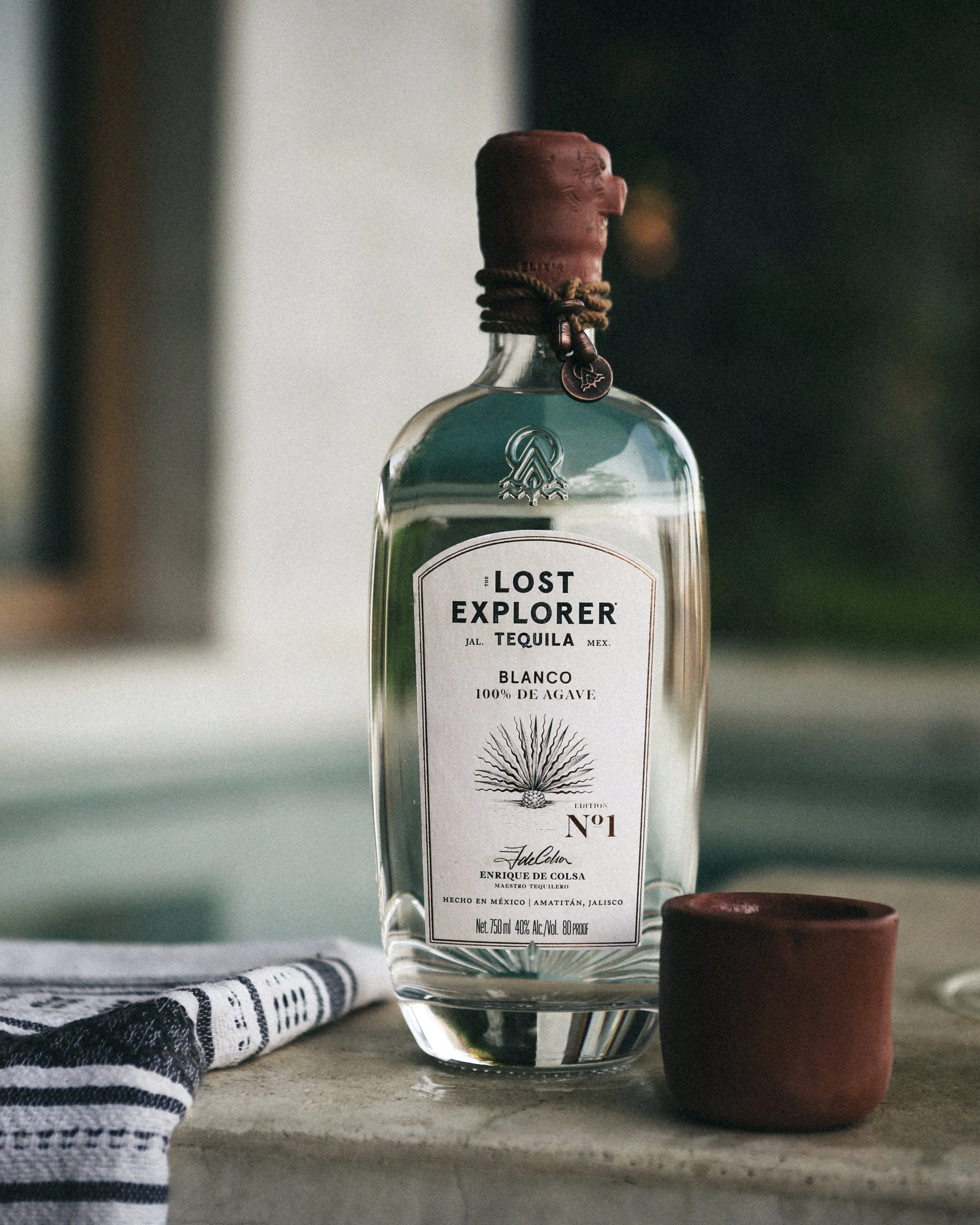 The Lost Explorer-06.JPG