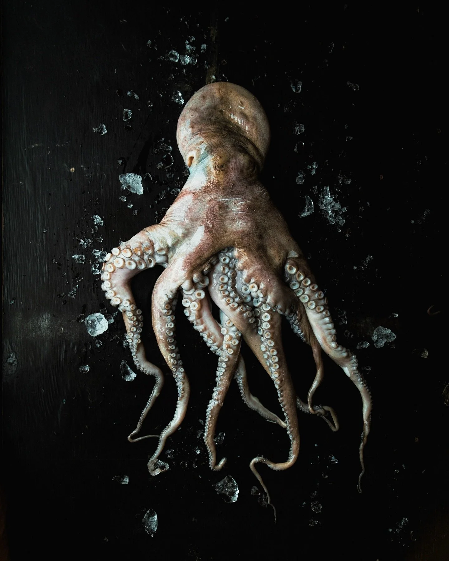 Pulpo from the market in Puerto Escondido 🐙🔥

#cookingwithfire 
#oaxacamexico 
#traveldiaries