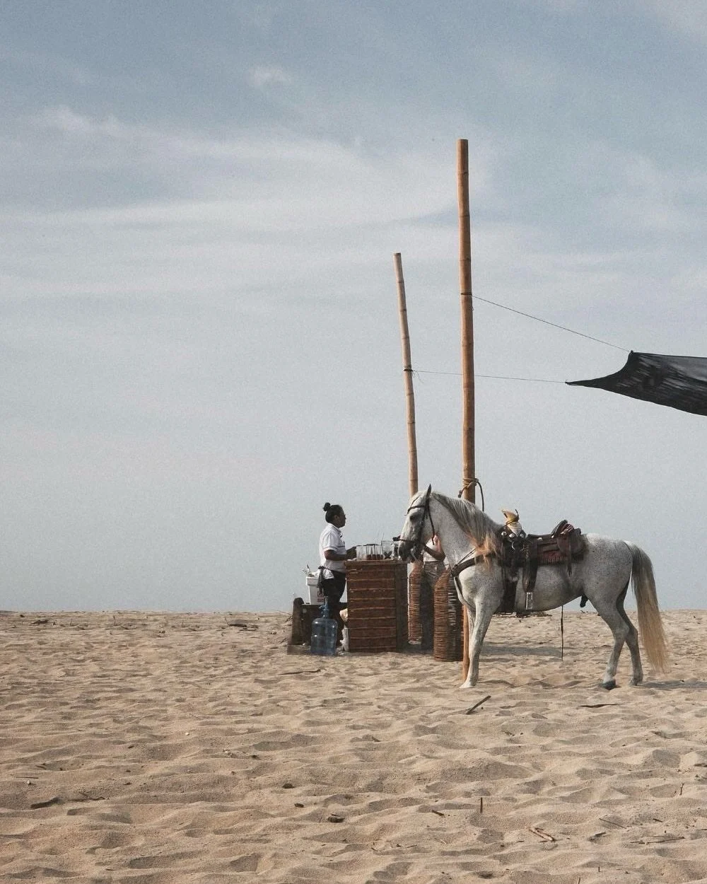 Mexico&hellip; take two. I spent most of winter and spring living in Oaxaca again. Highlights included riding lots of horses, no rain&hellip; ever, getting enough Vitamin D for once, getting all my camera gear robbed, hosting a dining experience, coo