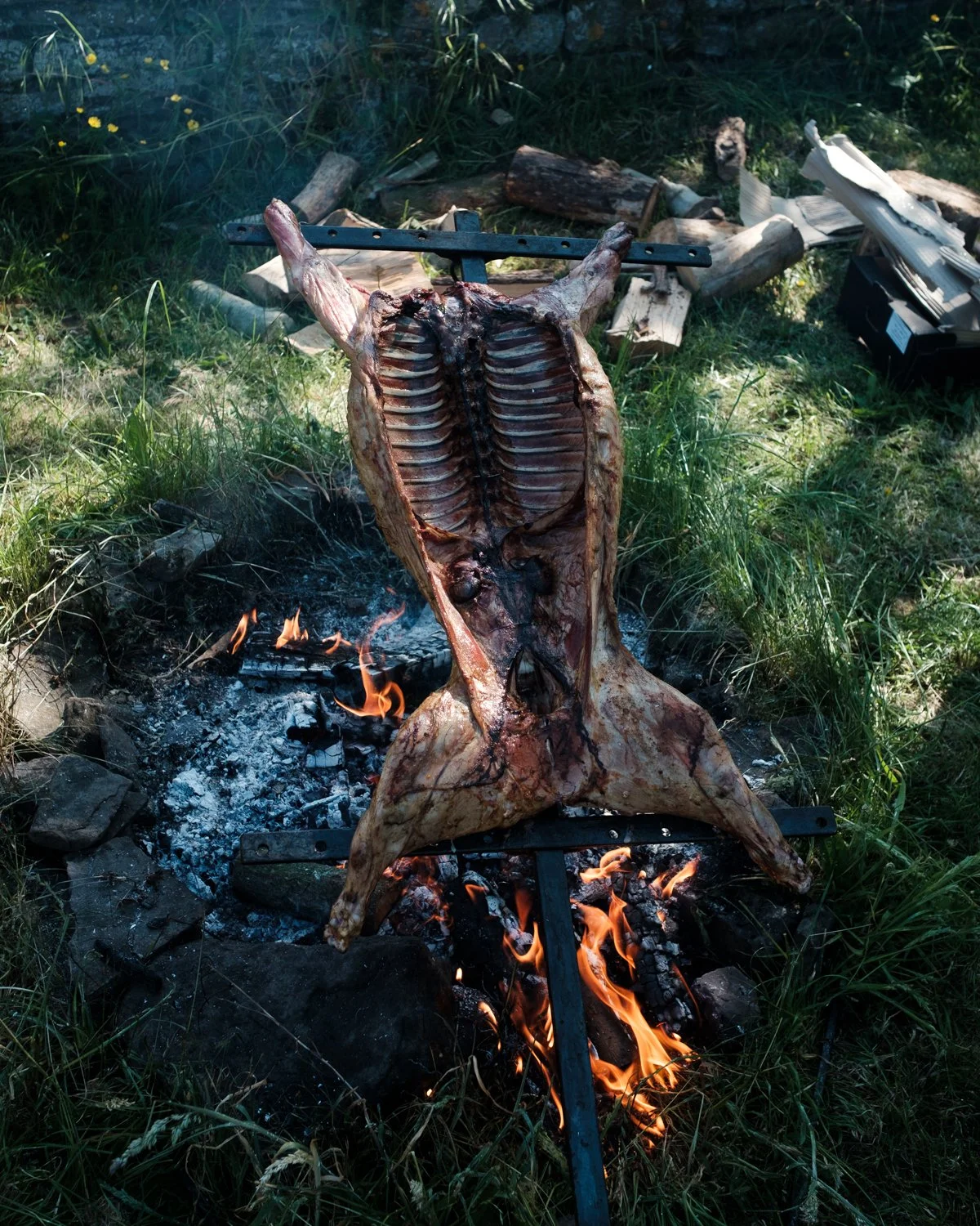 boar asador.jpg