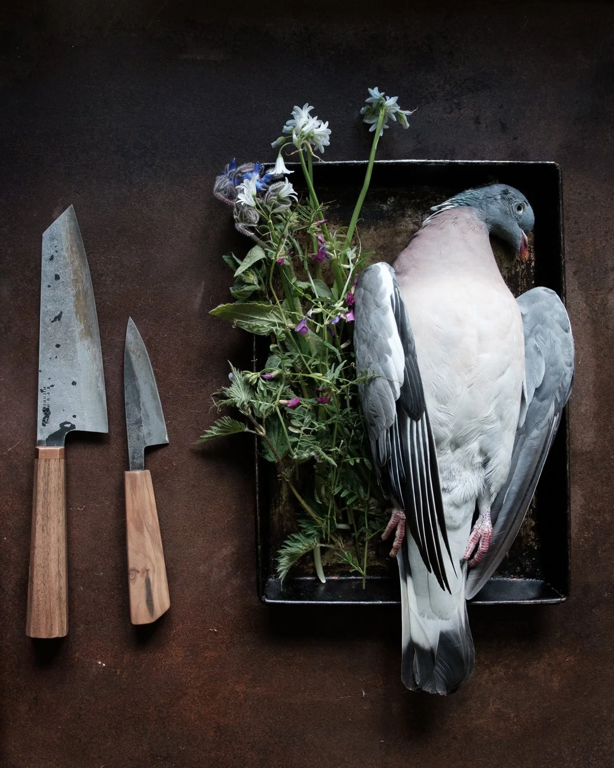 pigeon with knives.jpg