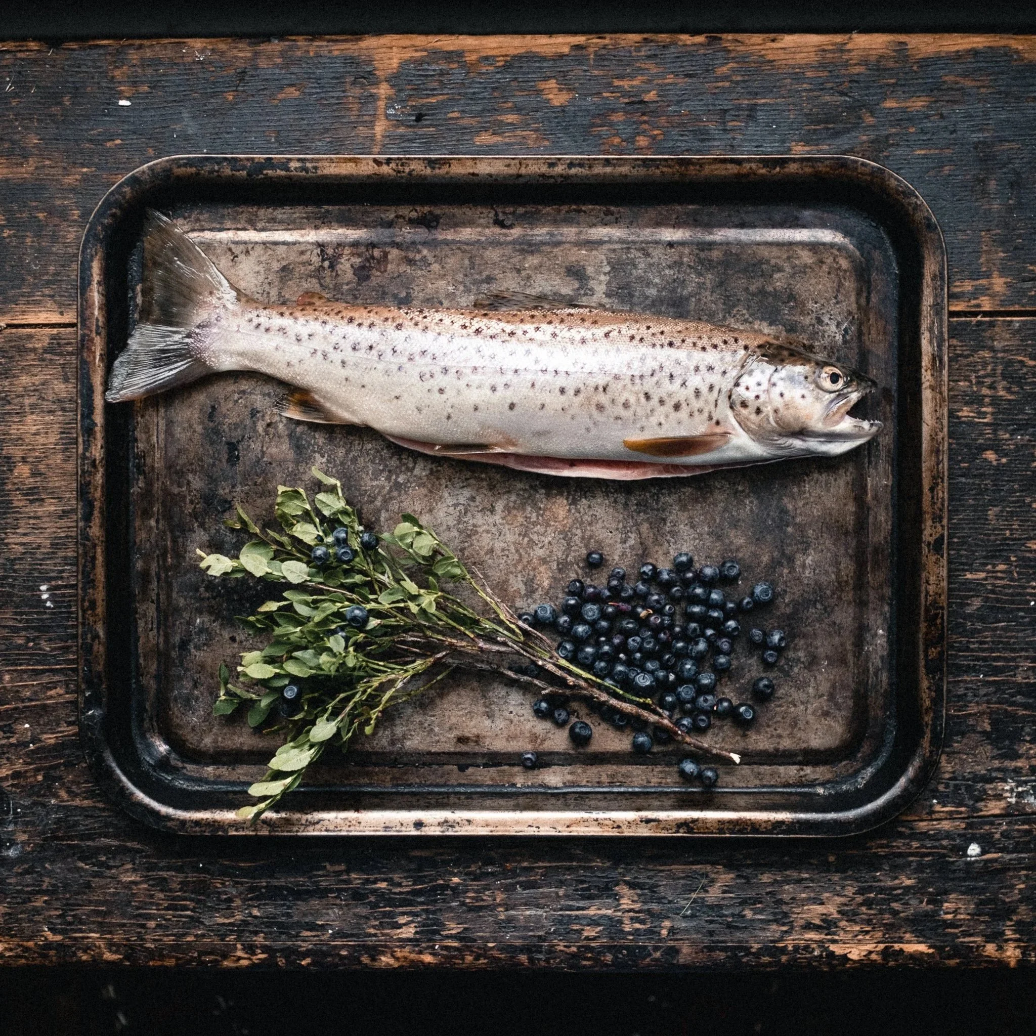 trout+bilberries.jpg