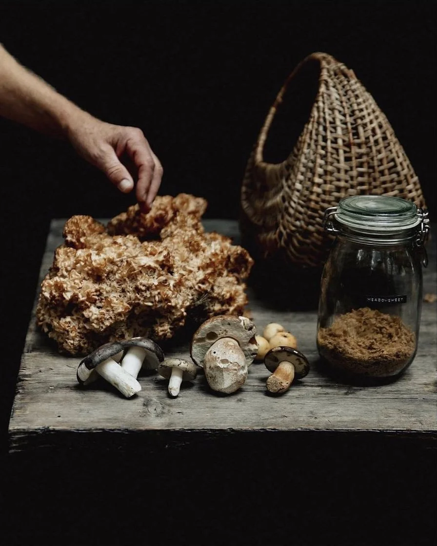 kent-autumn-foraging-wild-mushrooms-cooking-with-fire.JPG