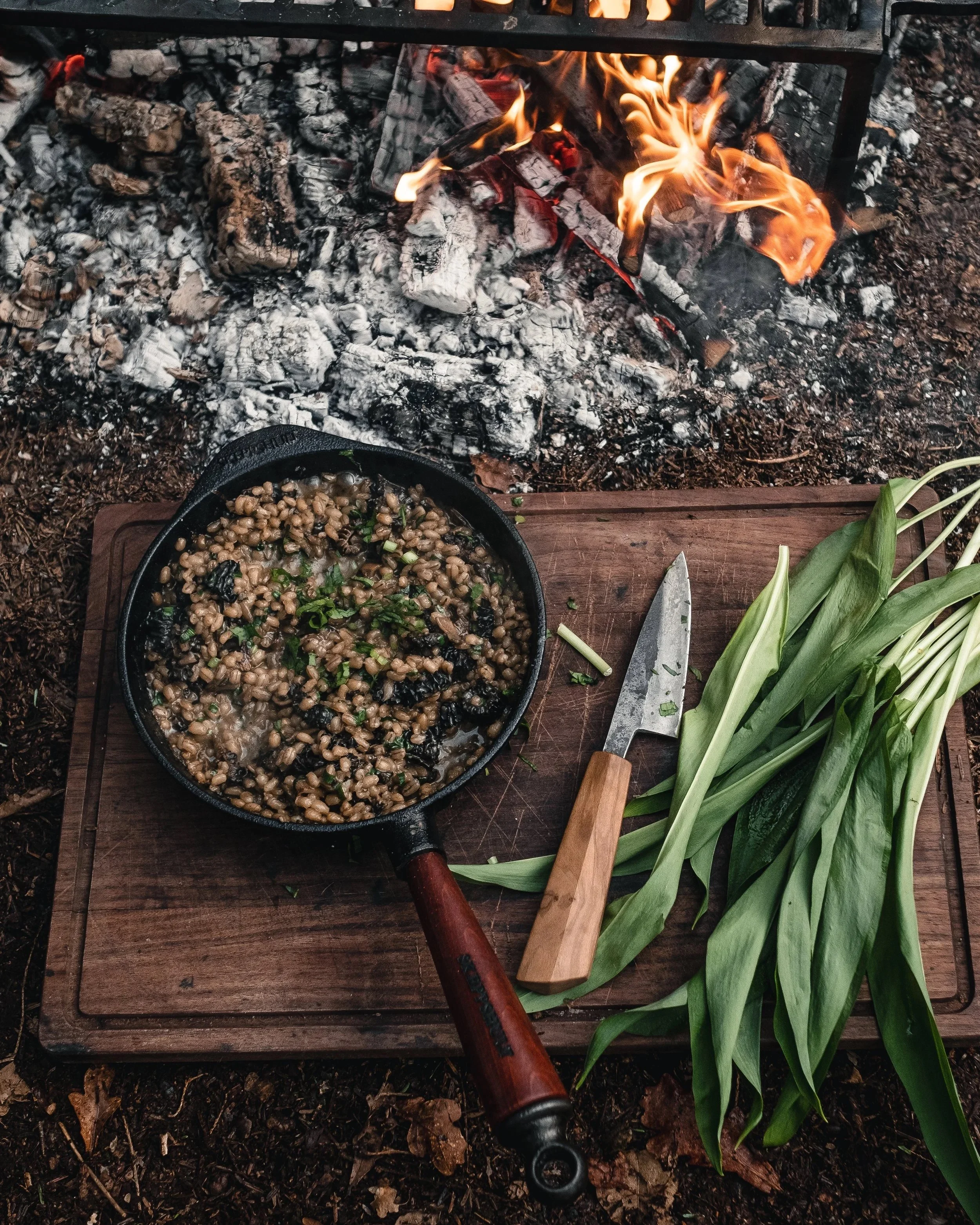 Guided foraging walk for wild ingredients in woodland near Manchester