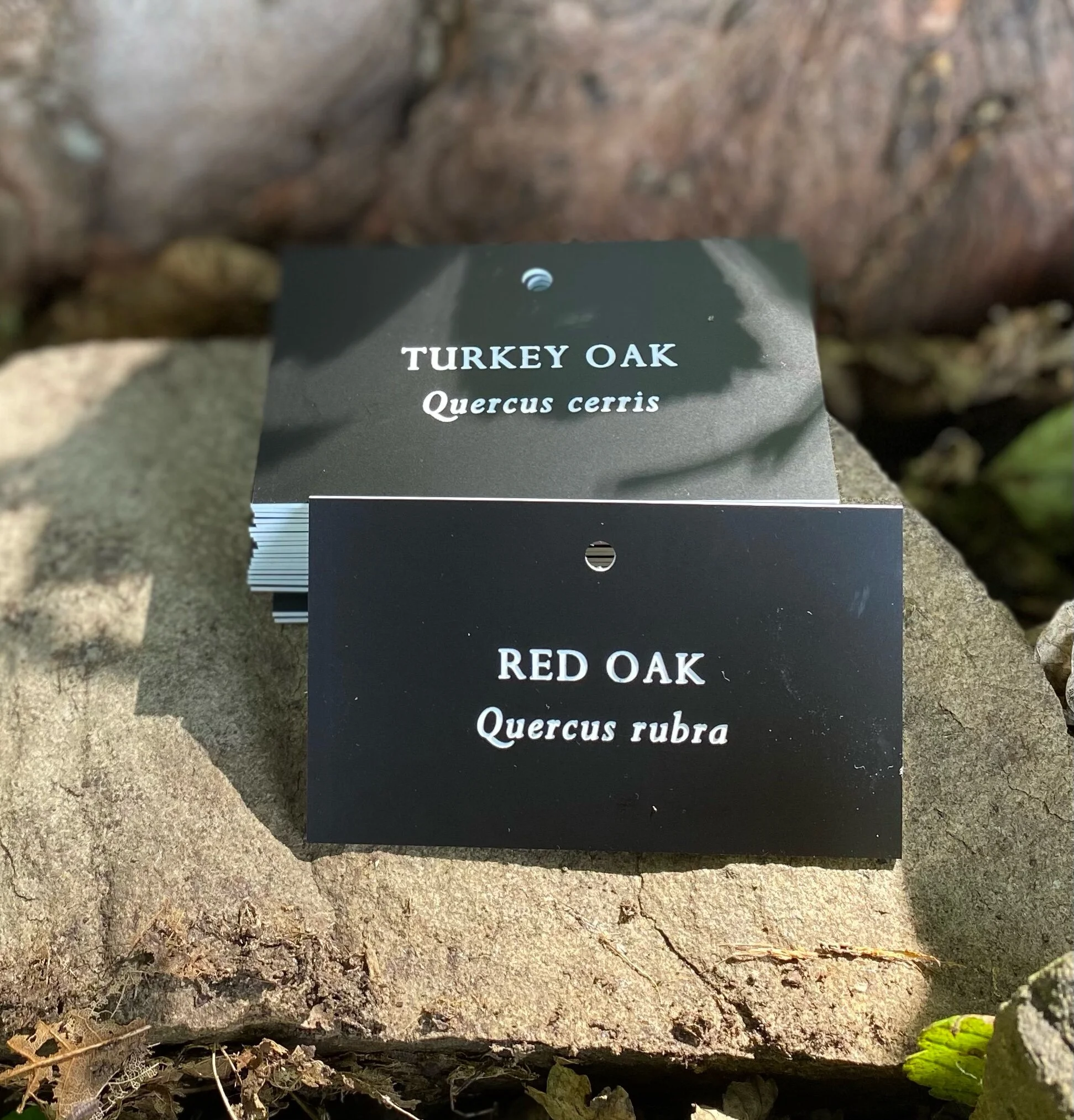 Botanical Labels - engraved labels and signs for gardens, orchards ...