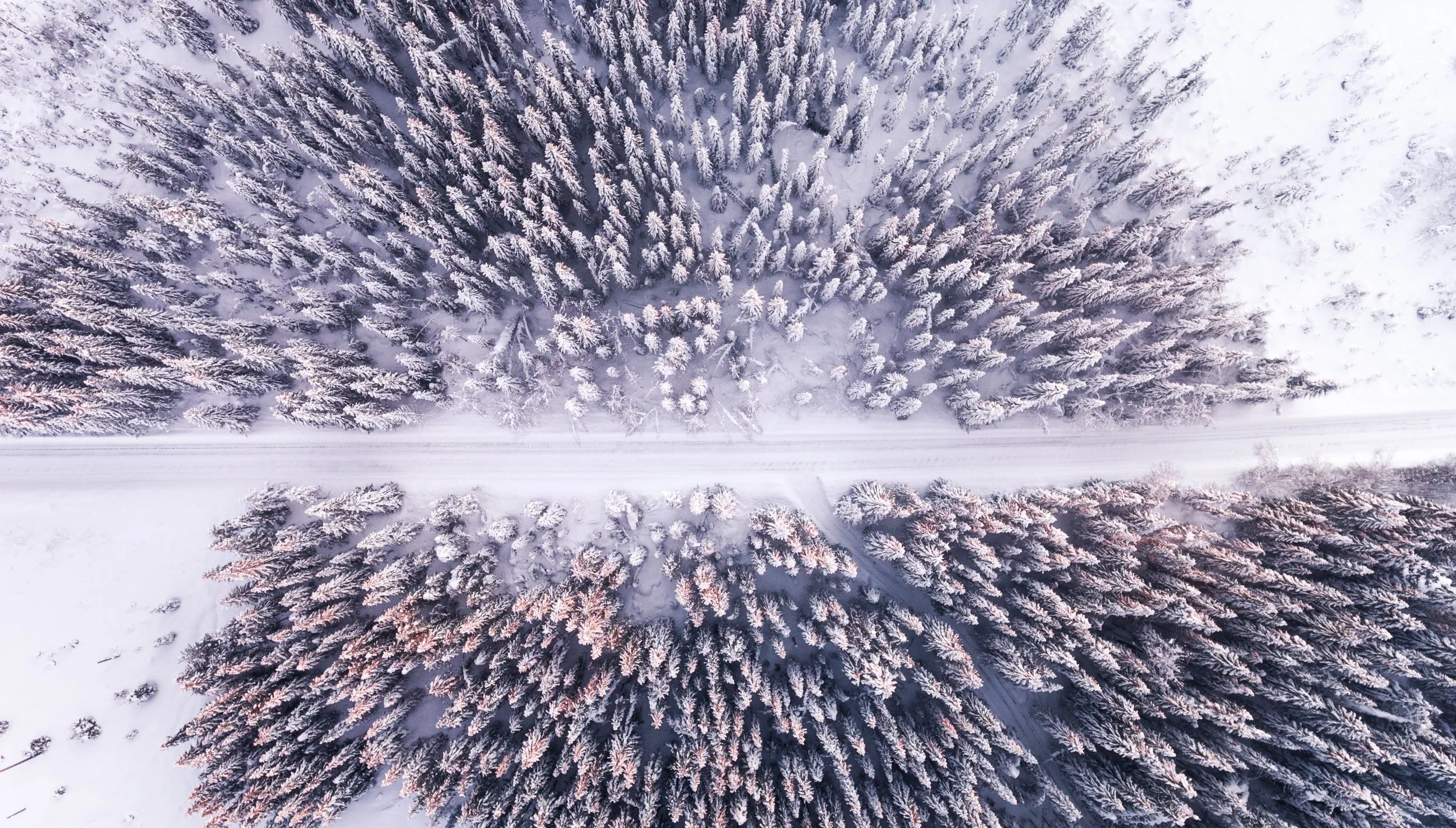 adventure-aerial-shot-beautiful-1427513.jpg