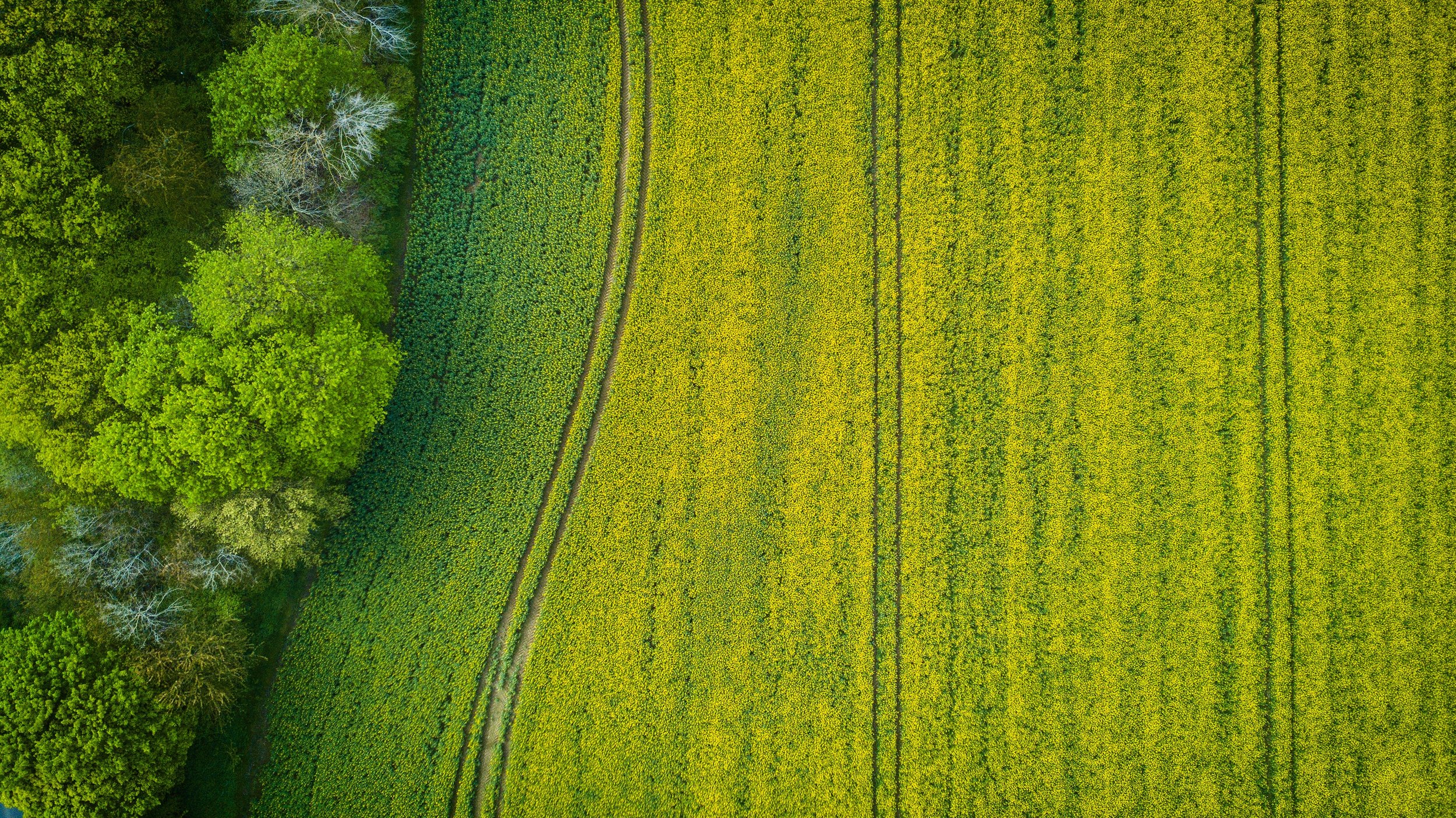 aerial-aerial-shot-aerial-view-753869.jpg