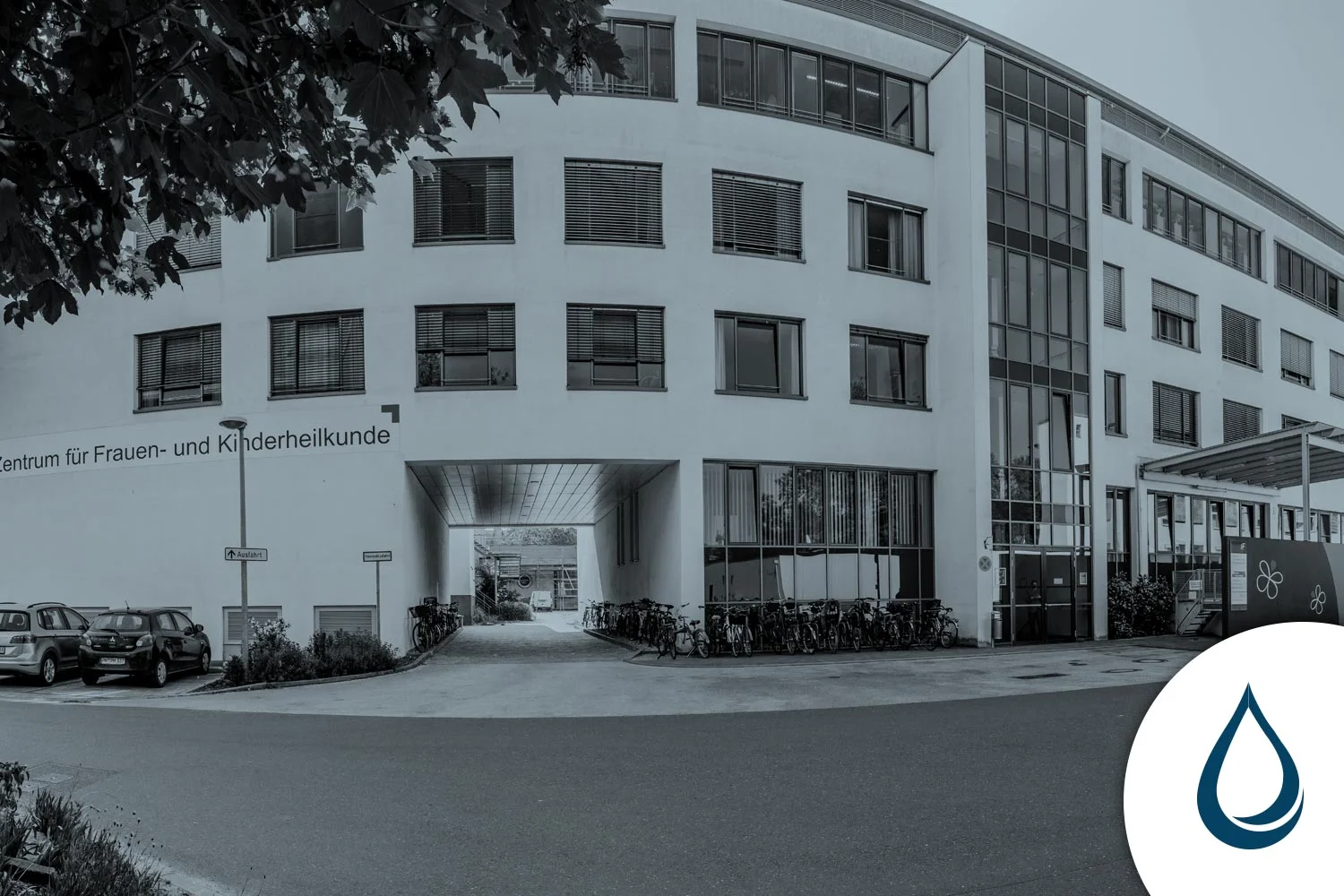 fmbi-99-potsdam.jpg