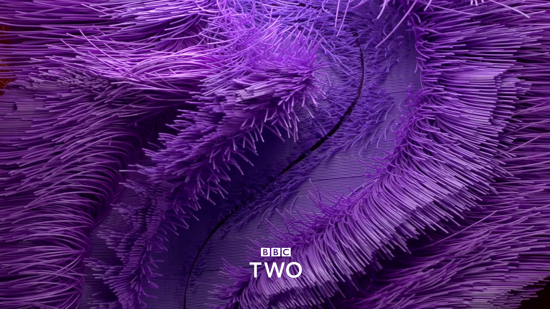 BBC2 03.png