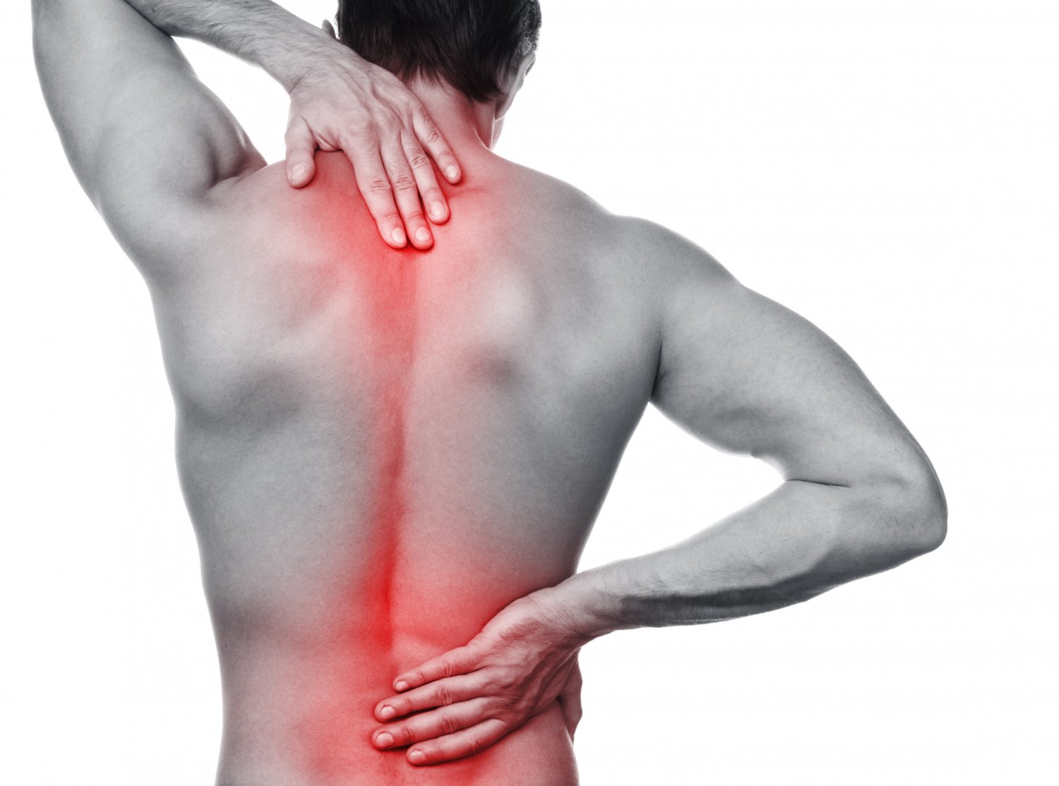 Lower Back Disc Bulges - The 8 Best Exercises to help you with your low back  pain