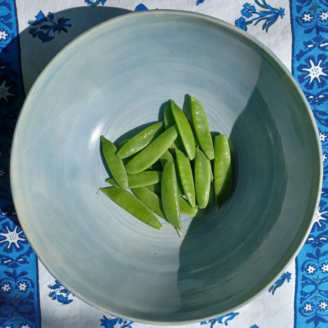 These are the first veggies from my garden: Super Sugar Snap Peas. I just picked them today.

The seeds are from Pinetree Garden Seeds. I planted them in late February. Now the harvest begins!

#organicveggies #peas #sugarsnappeas #peasinapod #growin