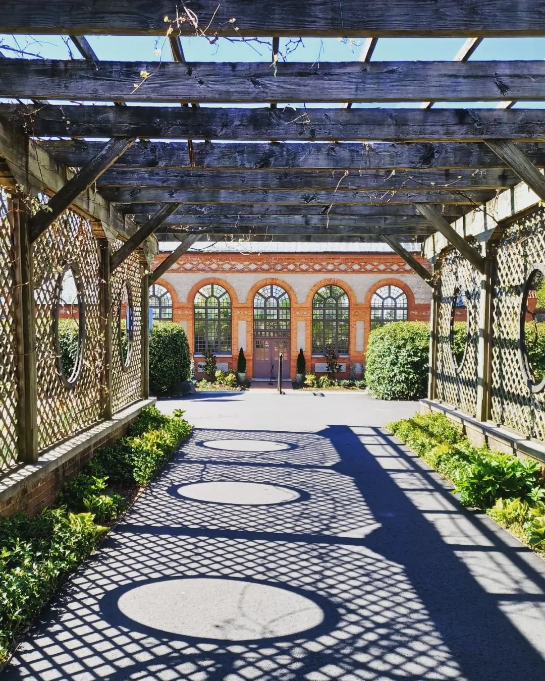 Come walk with me through the historic Biltmore Conservatory, which was built in 1895, on the Biltmore Estate in Asheville, North Carolina.

I have visited this Conservatory many times, and I am always amazed at the variety of tropical plants and sea