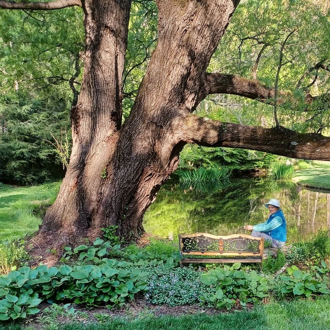 If you look closely, you will see me sitting under my favorite tree next to my pond.

I don't appear on my feed too much because I am shy. I want my photos of plants, gardens, and nature to take center stage, not me.

Do you feel that way?

But I rea