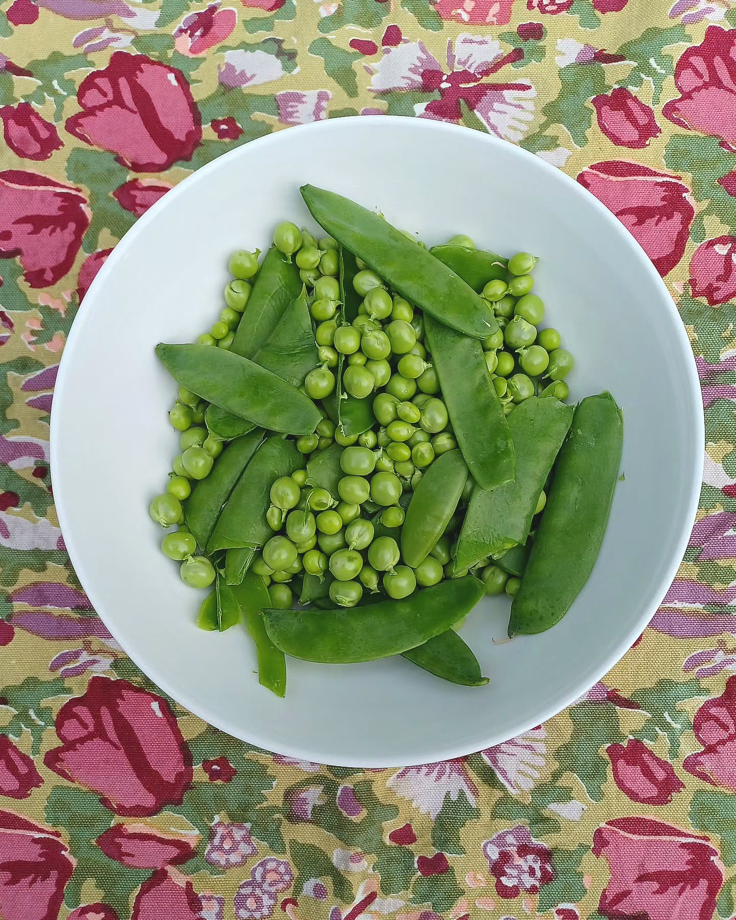 Food doesn't get any better than this!

I picked these peas for dinner from my kitchen garden. They are so sweet, crunchy, and fresh!

What vegetables and herbs are you harvesting now?

#eatwhatyougrow #freshfood #frommygarden #organicvegetable #suga