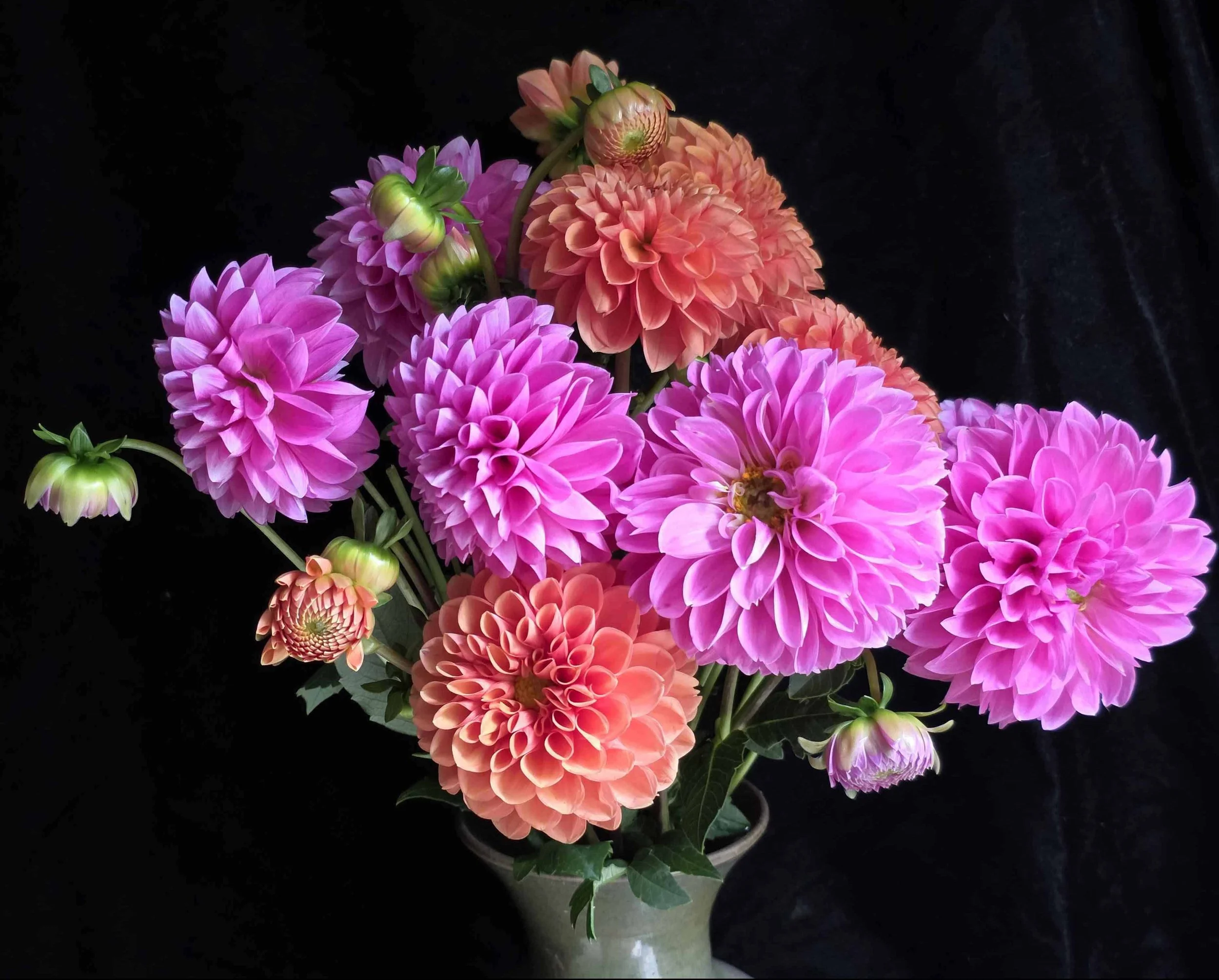 This photo shows an arrangement of pink and orange dahlias.
