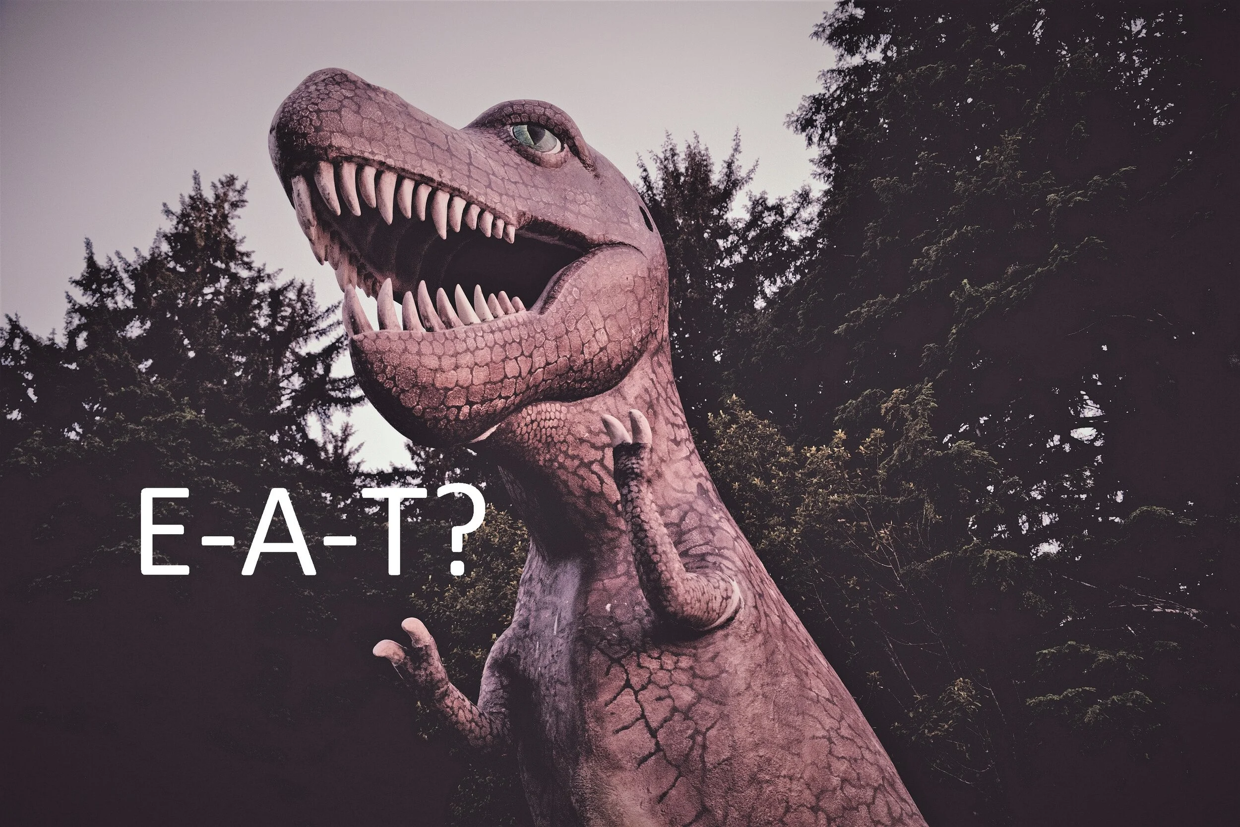 EAT+SEO+Blogg+WGP+Web+Guide+Partner.jpg