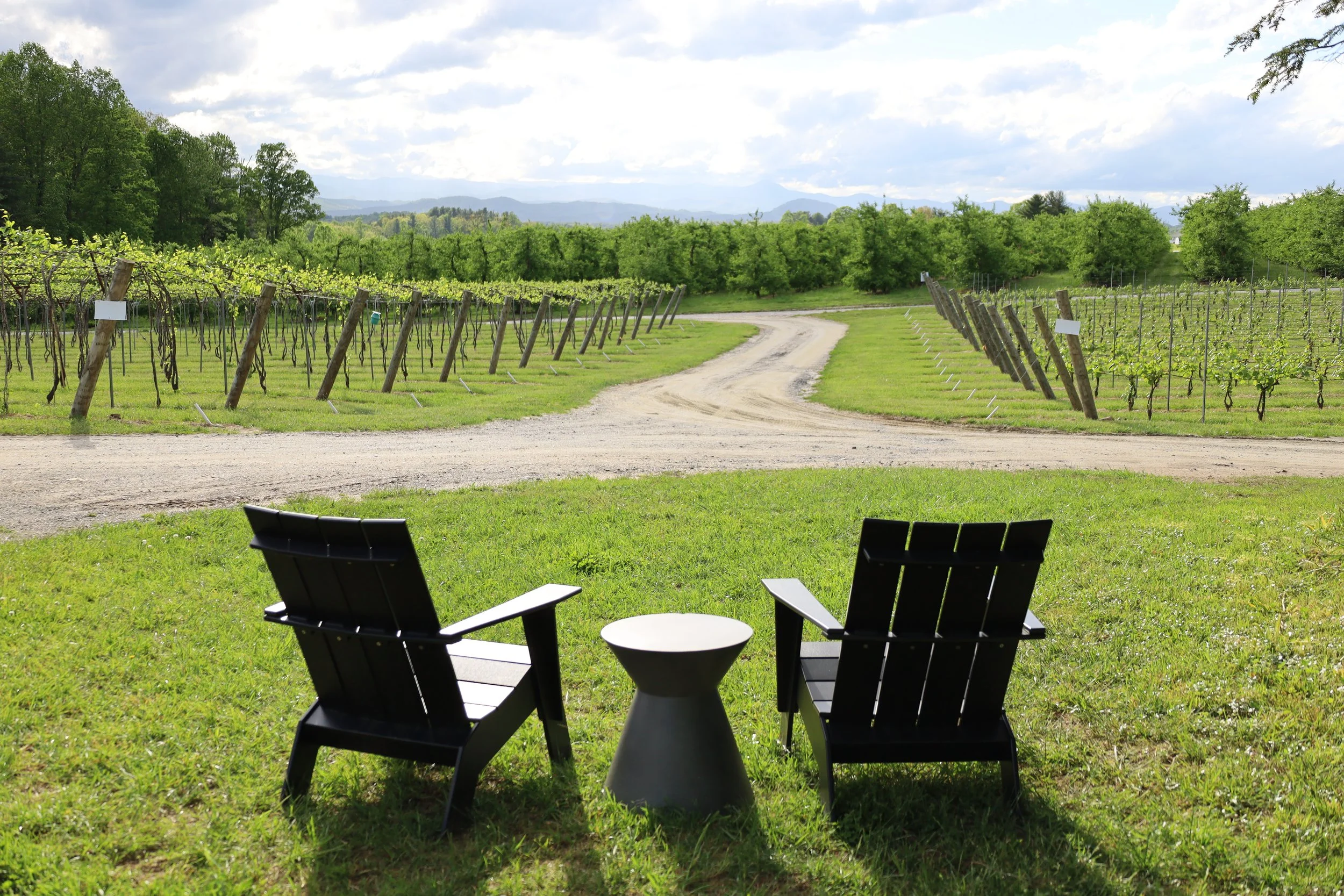 AwardWinning Winery Hendersonville NC Marked Tree Vineyard