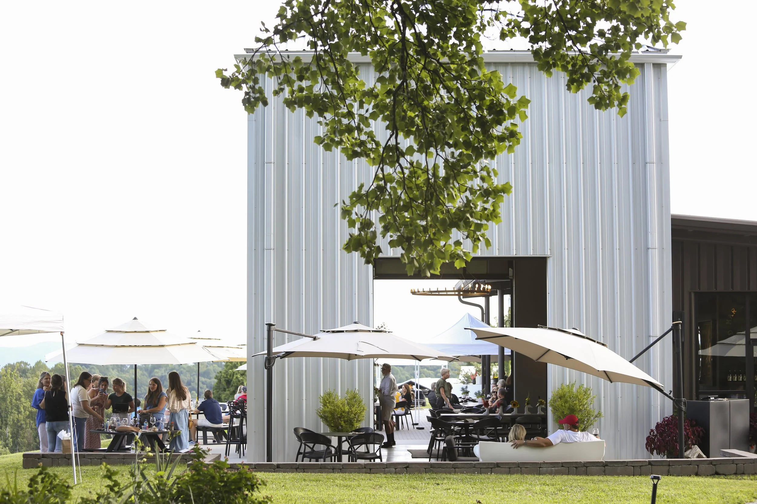 AwardWinning Winery Hendersonville NC Marked Tree Vineyard