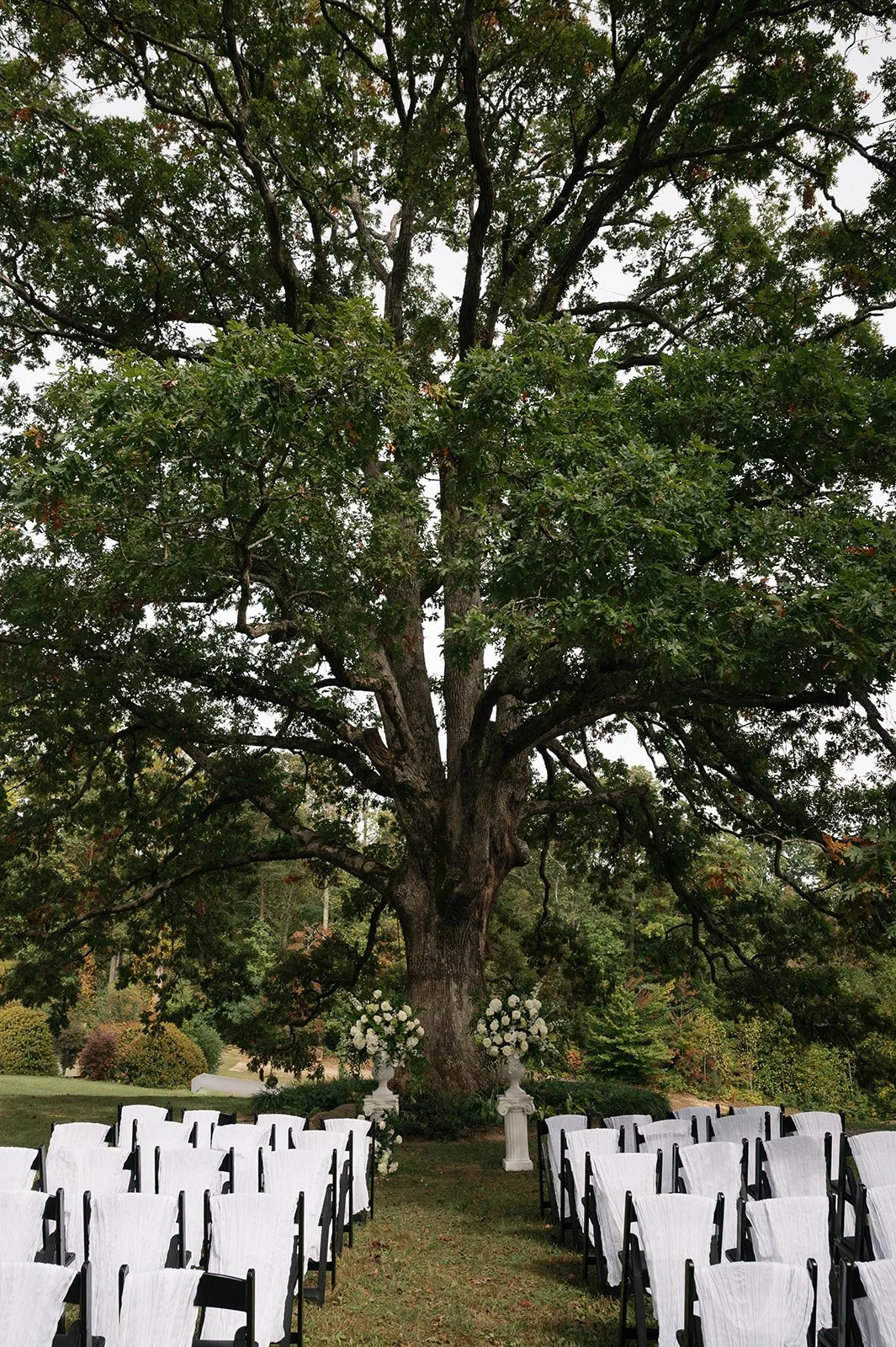 Lainey & Brendan 9.jpg