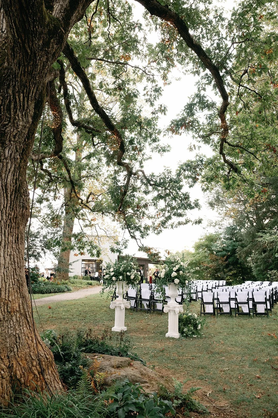 Lainey & Brendan 6.jpg