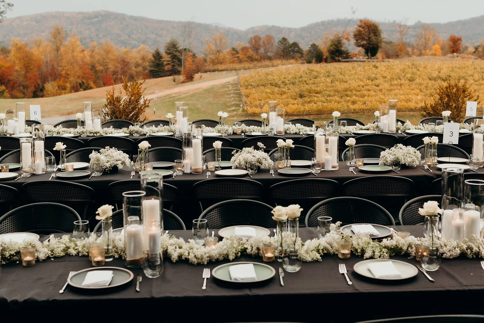 Harrison & Madison 4.jpg