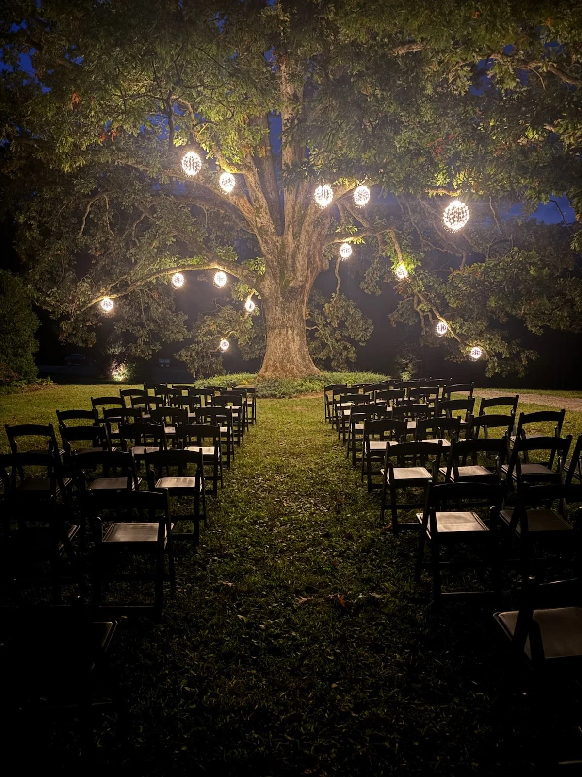 Evening Reception2.jpg