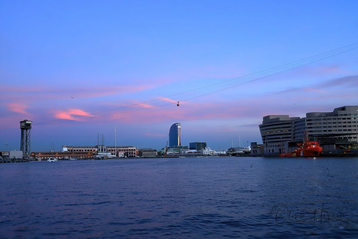 IMG_8055.JPG