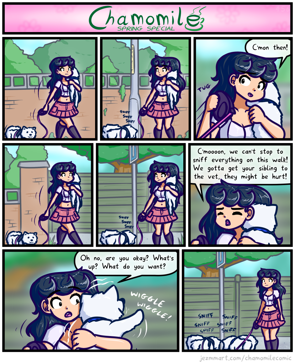 Chamomile #456 - C'mon