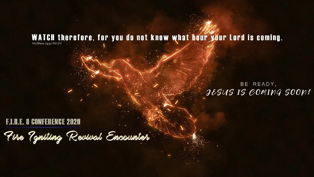 F.I.R.E. 8 Conference 2020
