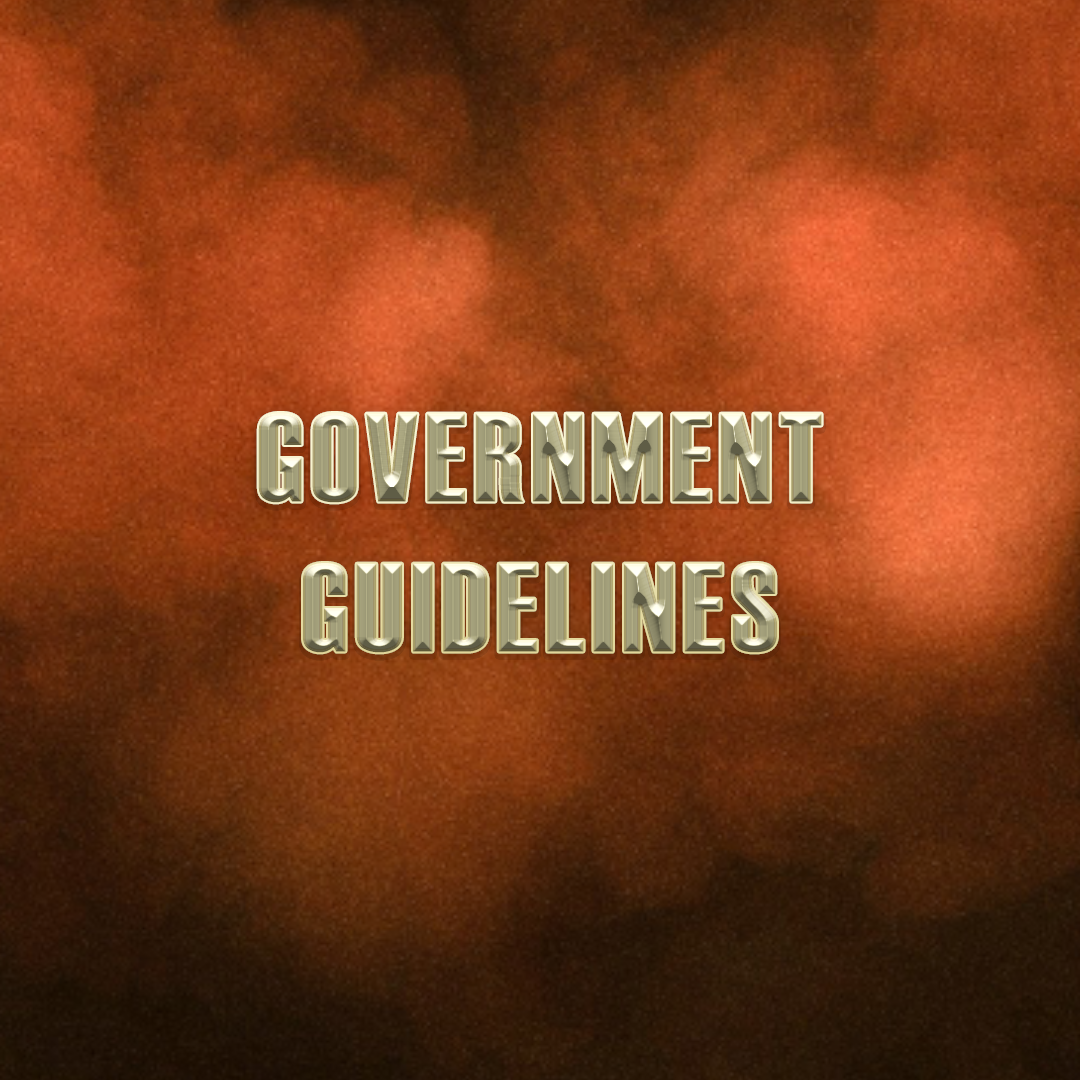 GOVERNMENT GUIDELINES_resized.png