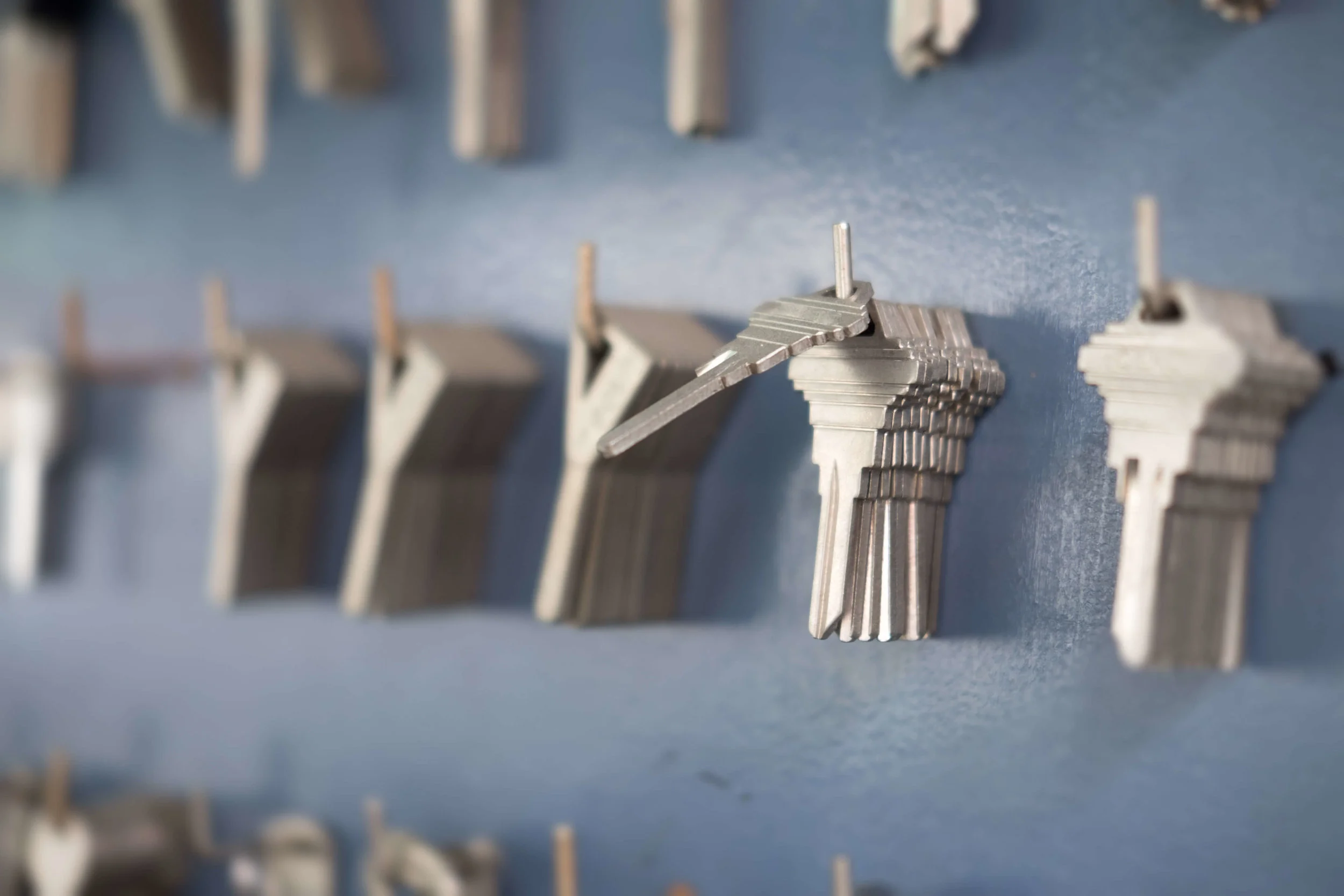 AdobeStock_232969962 Web.jpeg