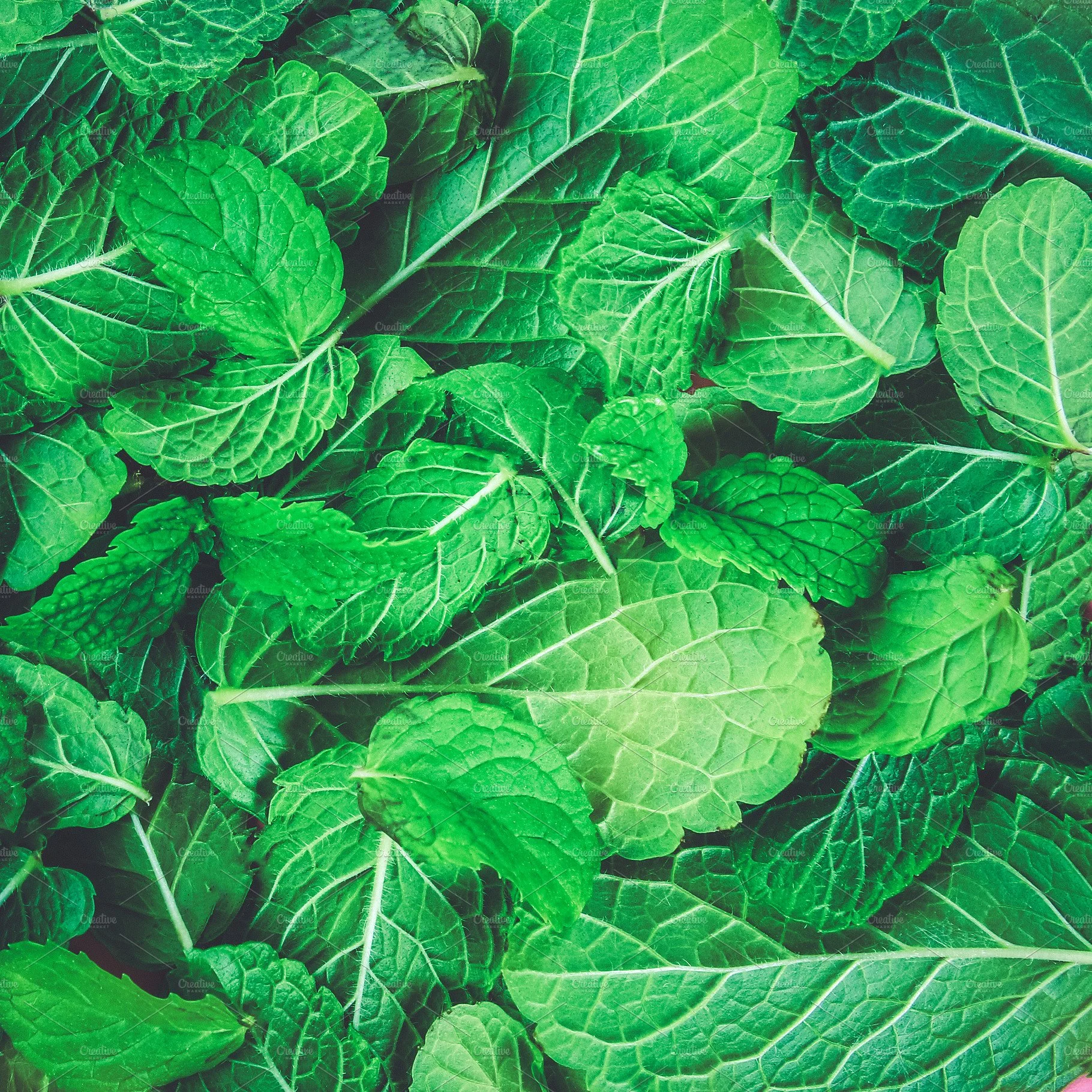 Peppermint The peppermint plant is a native plant in Europe and North America. The anti-inflammatory properties in peppermint can help reduce redness caused by acne and antiseptic properties help prevent build up of bacteria that can clog pores. The soothing effects of peppermint are useful for treating skin rashes and itchy bug bites.