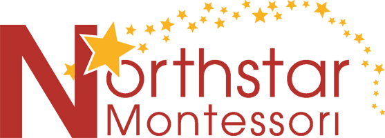 northstar_montessori_logo_newcolors.png