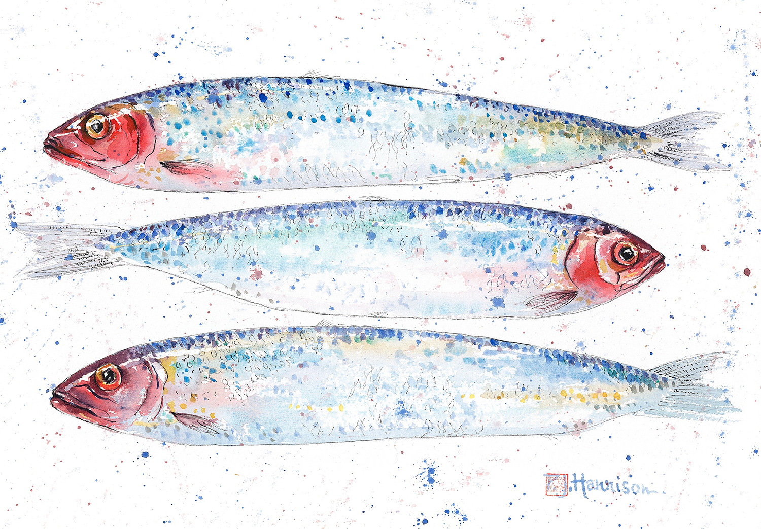 Sardines-Pink-Harrison-Artist-Broadway-Worcestershire-England.jpg