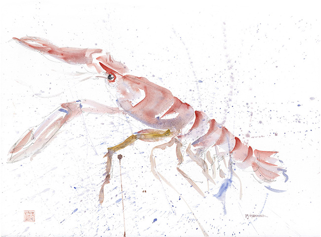 Langoustine 22” x 30” £300