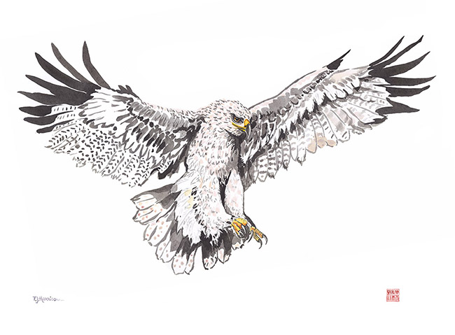 Eagle 22” x 30” £300