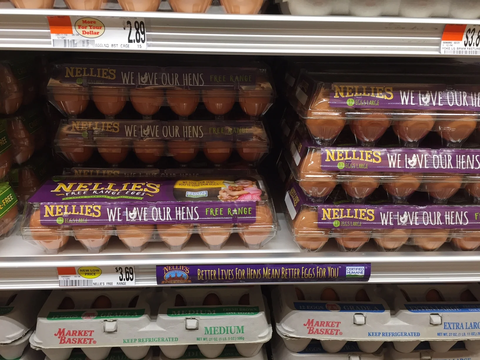 eggs