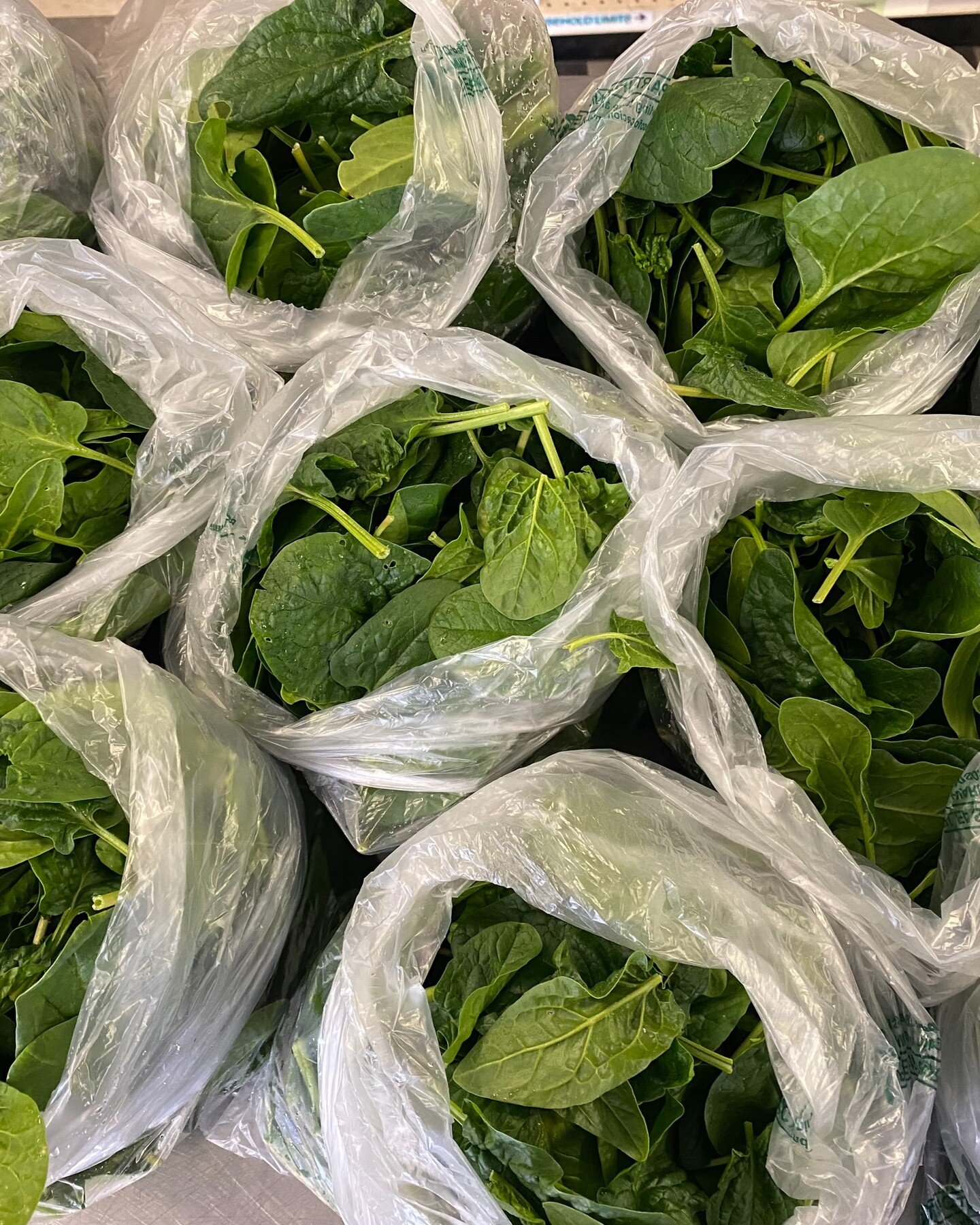 Fresh veggies from the greenhouse are starting to arrive!! Thank you to @threesistersgardenproject in Ipswich for delivering several boxes of fresh, beautiful spinach last week! #community #healthychoices