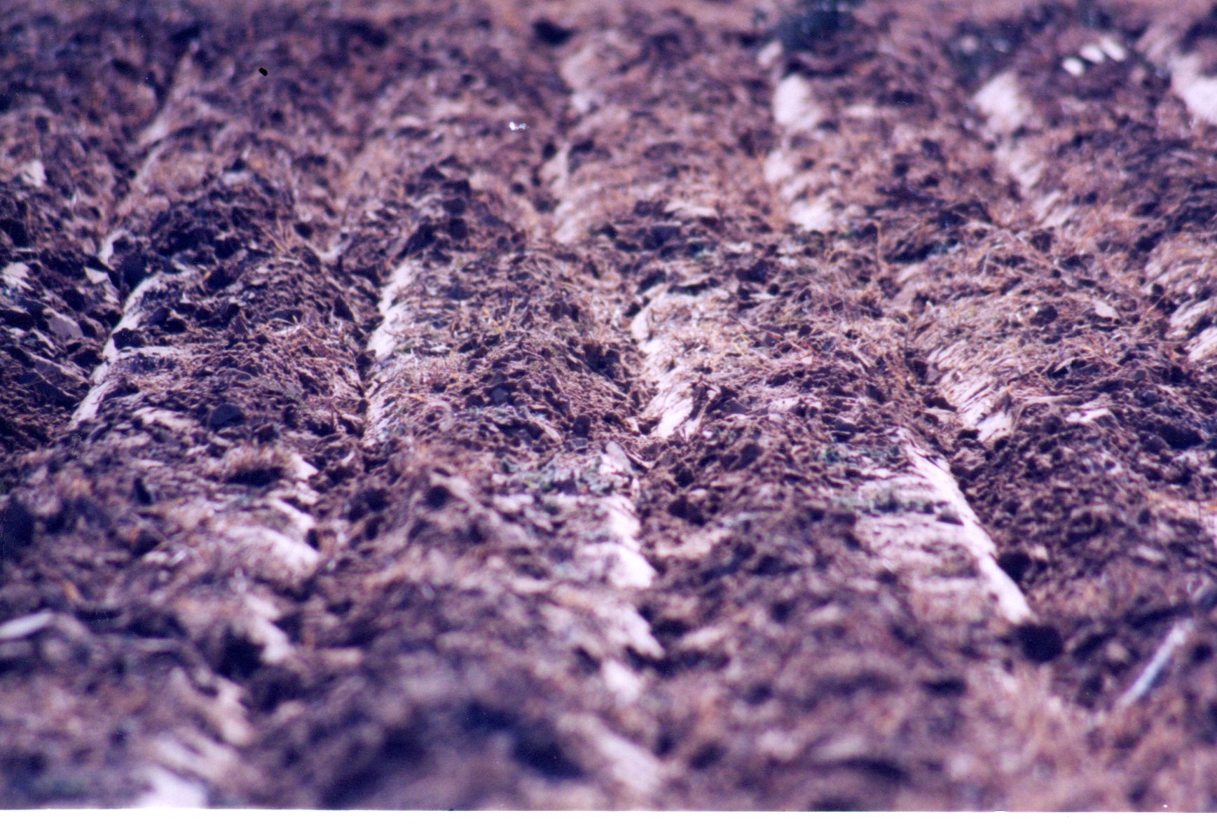 Ground after the use of the Chopper Blade