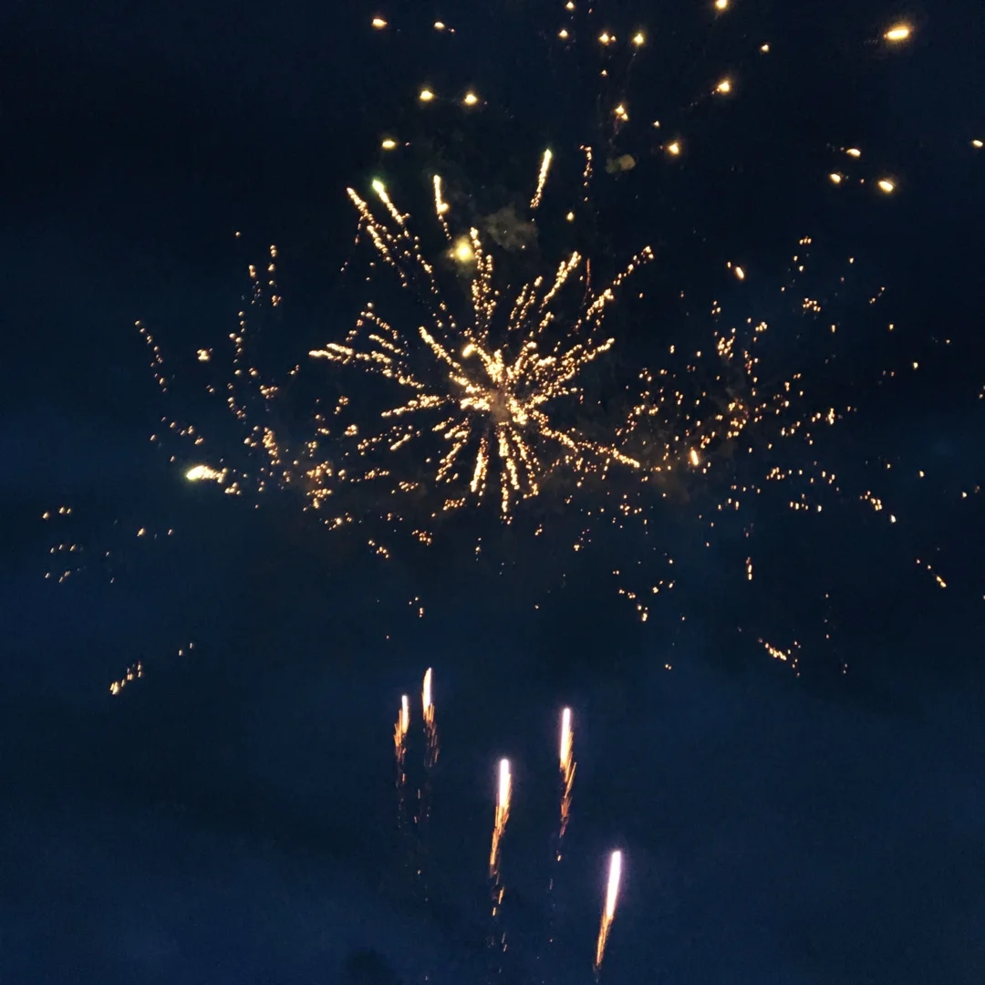 Form Interiors Celebrates.jpg