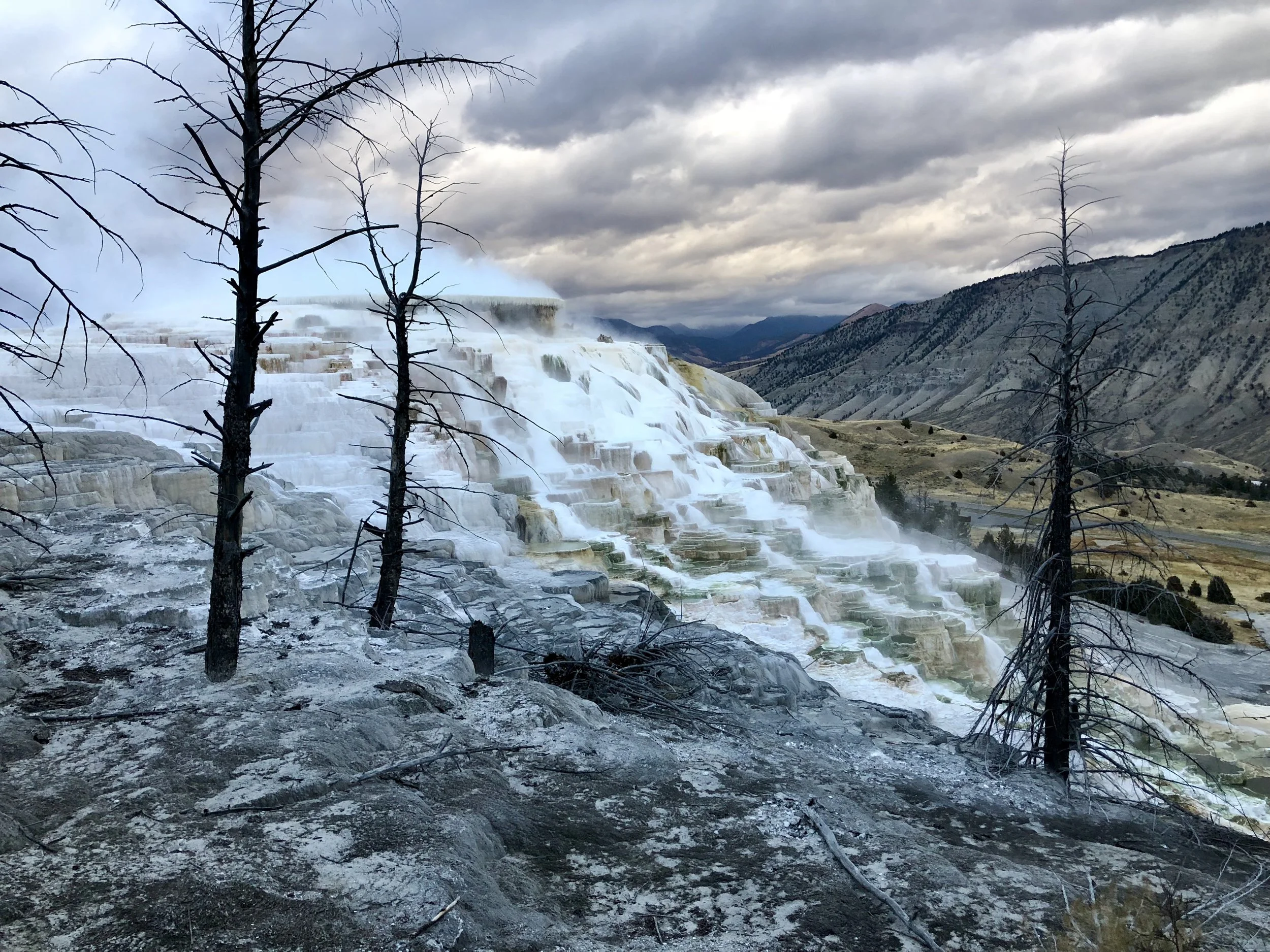 yellowstone.jpg